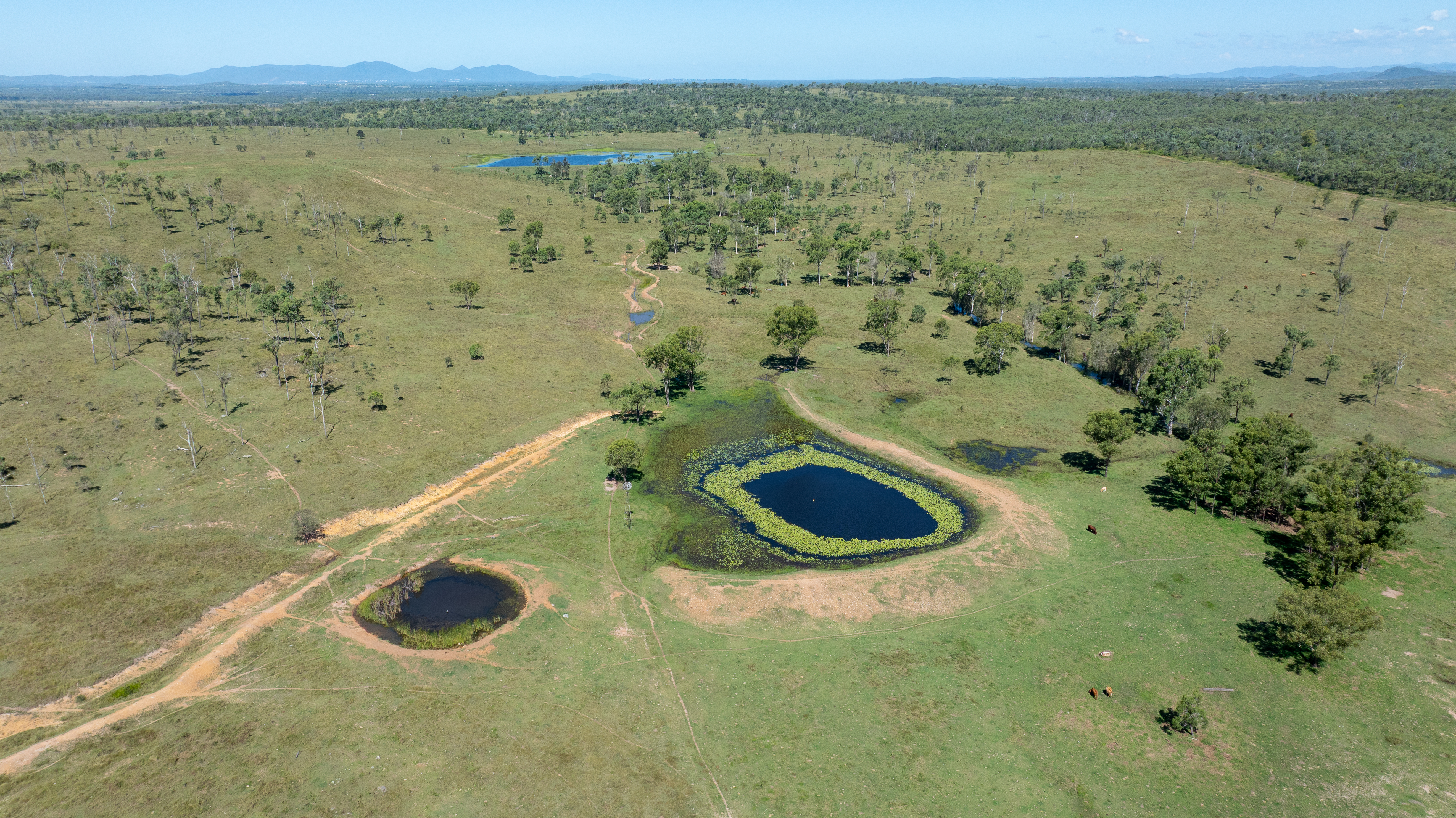 244 Weale Creek Road, Ridgelands, QLD, 4702 - Image 13