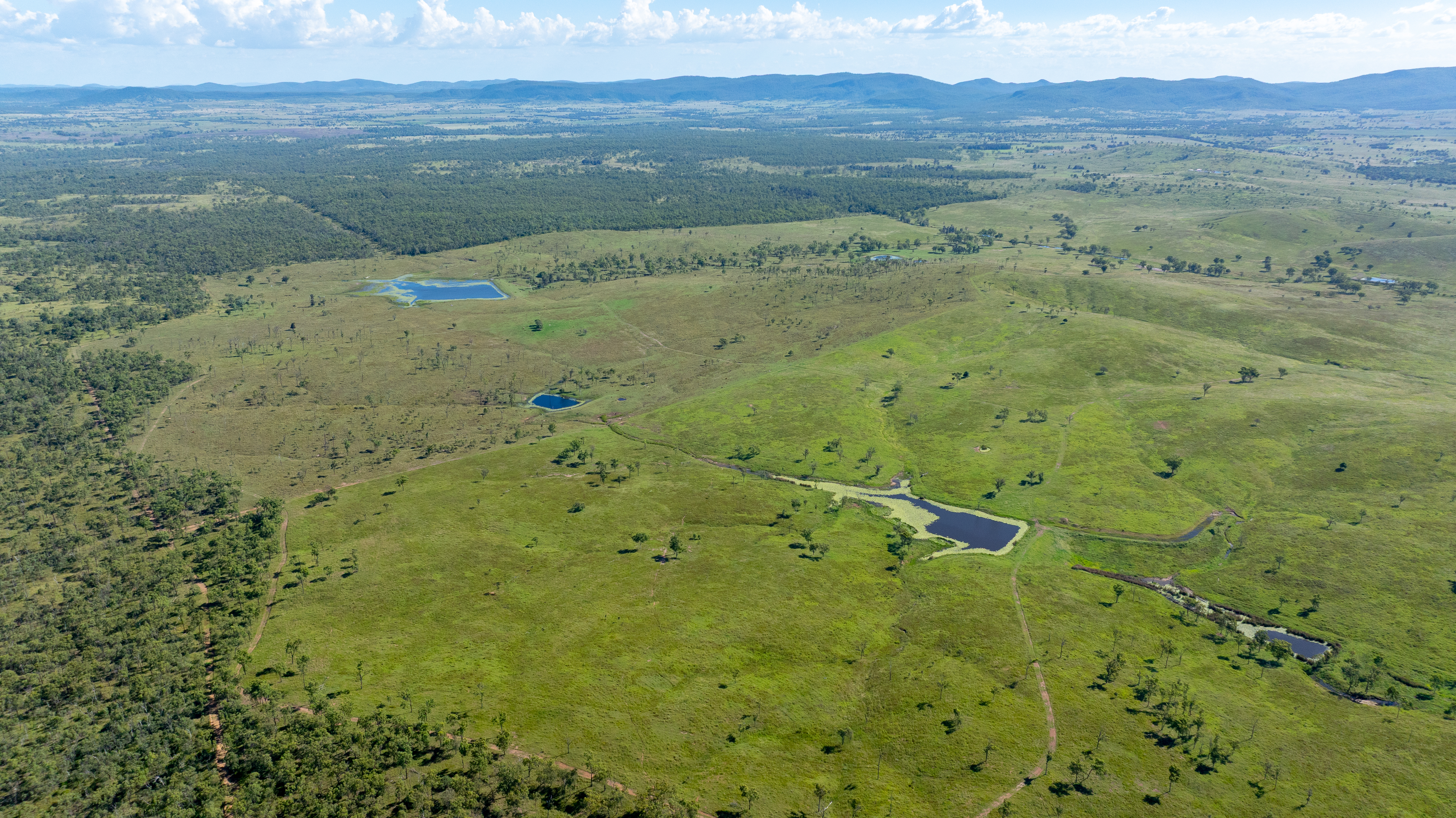 244 Weale Creek Road, Ridgelands, QLD, 4702 - Image 16