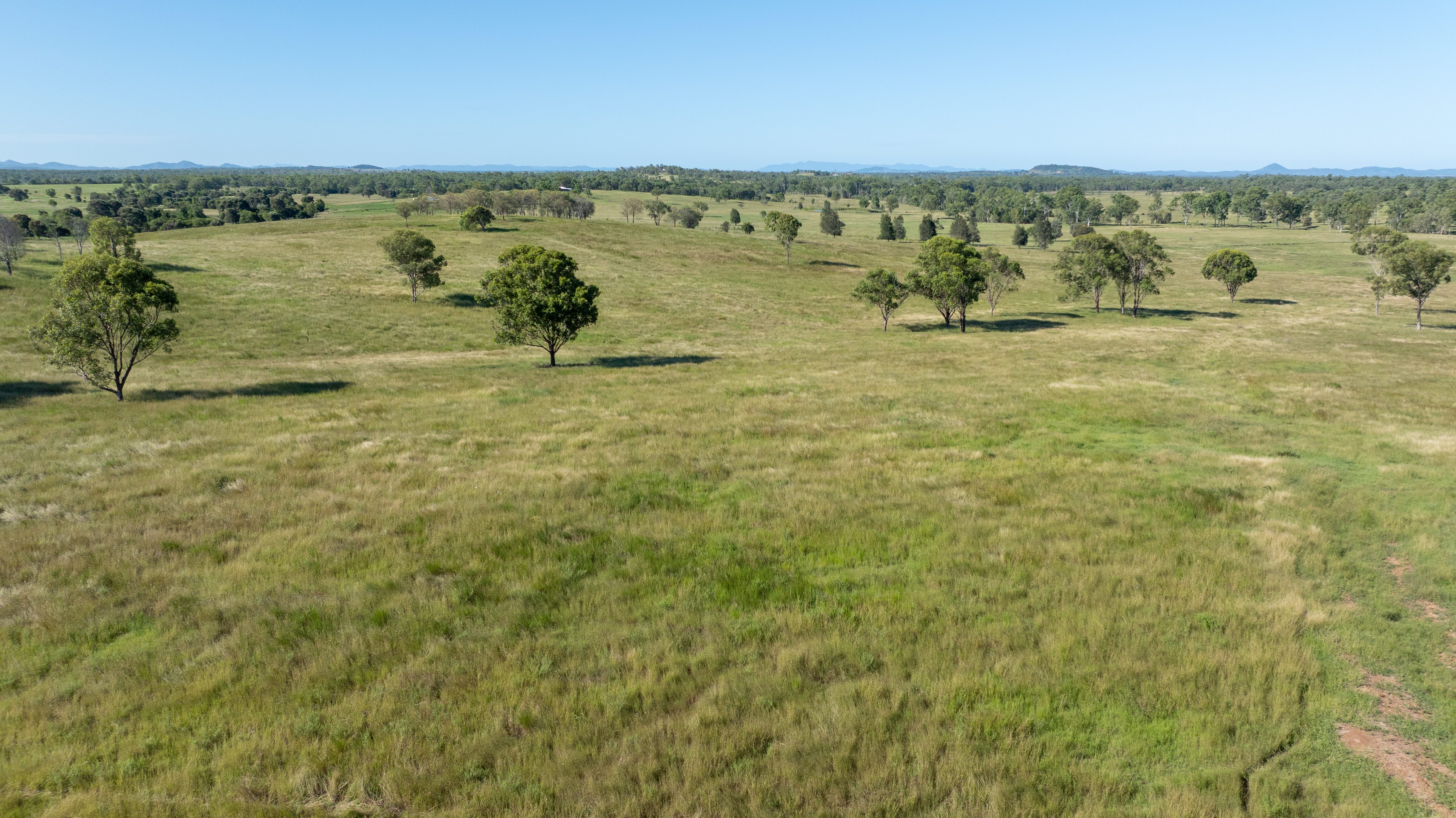 244 Weale Creek Road, Ridgelands, QLD, 4702 - Image 15