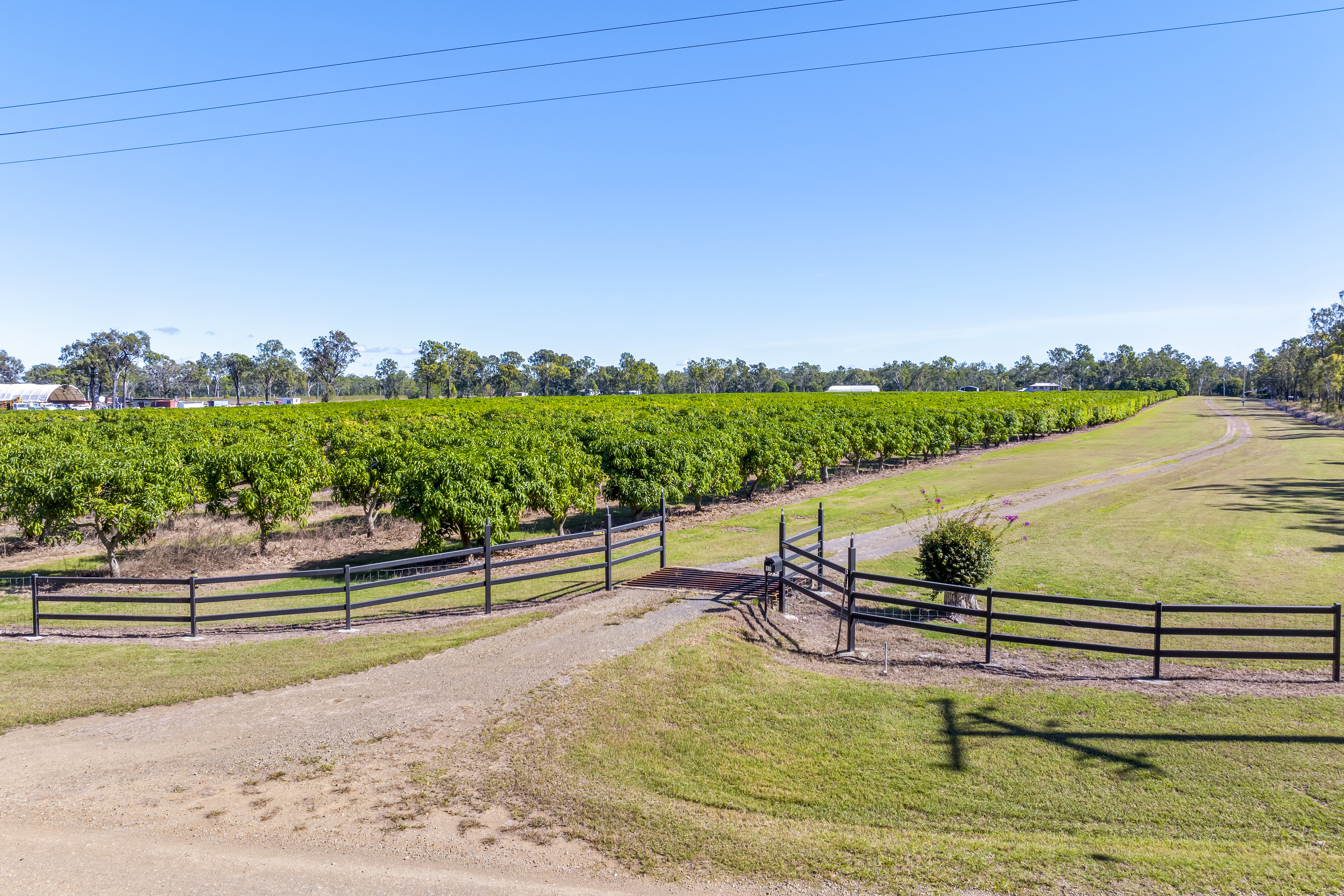 11 Lindleys Road, Etna Creek, QLD, 4702 - Image 3