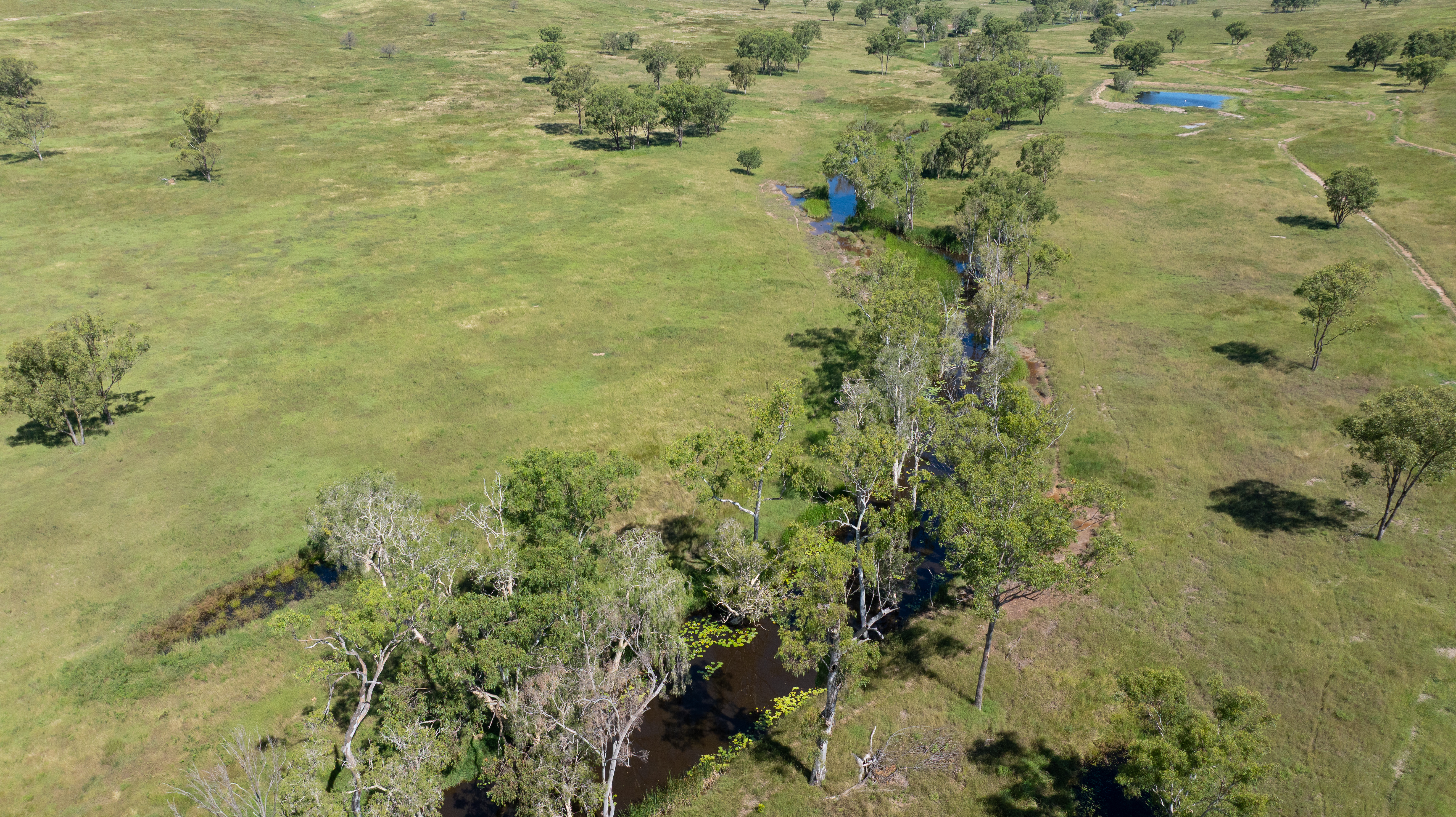 244 Weale Creek Road, Ridgelands, QLD, 4702 - Image 3
