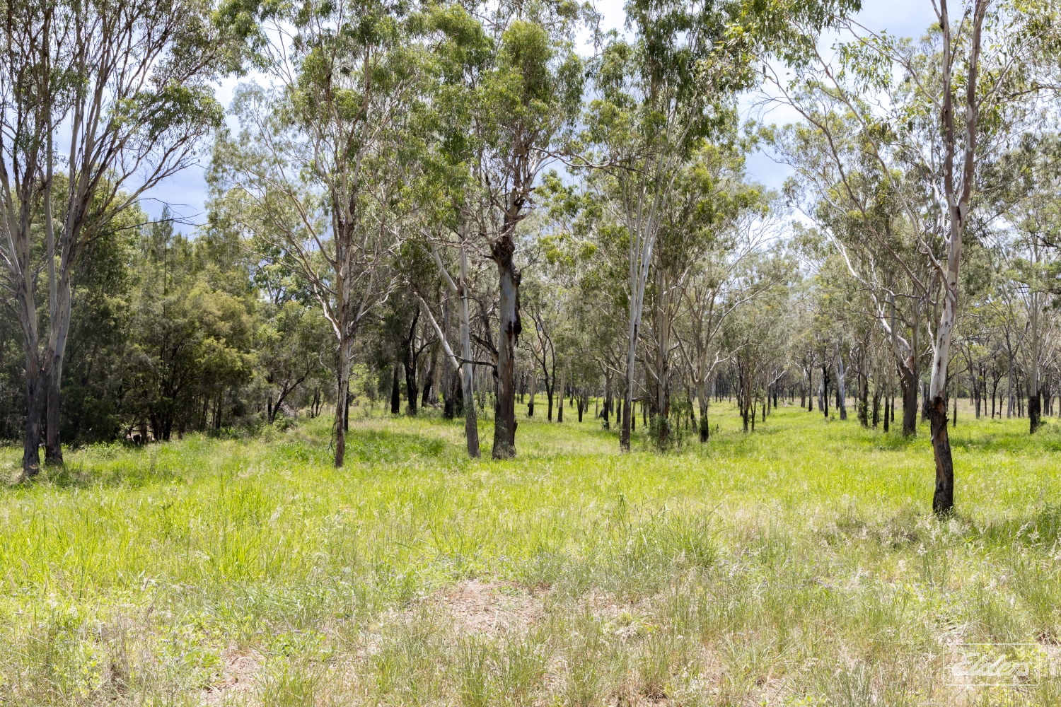 124 Lee Farm Road, Bushley, QLD, 4702 - Image 14