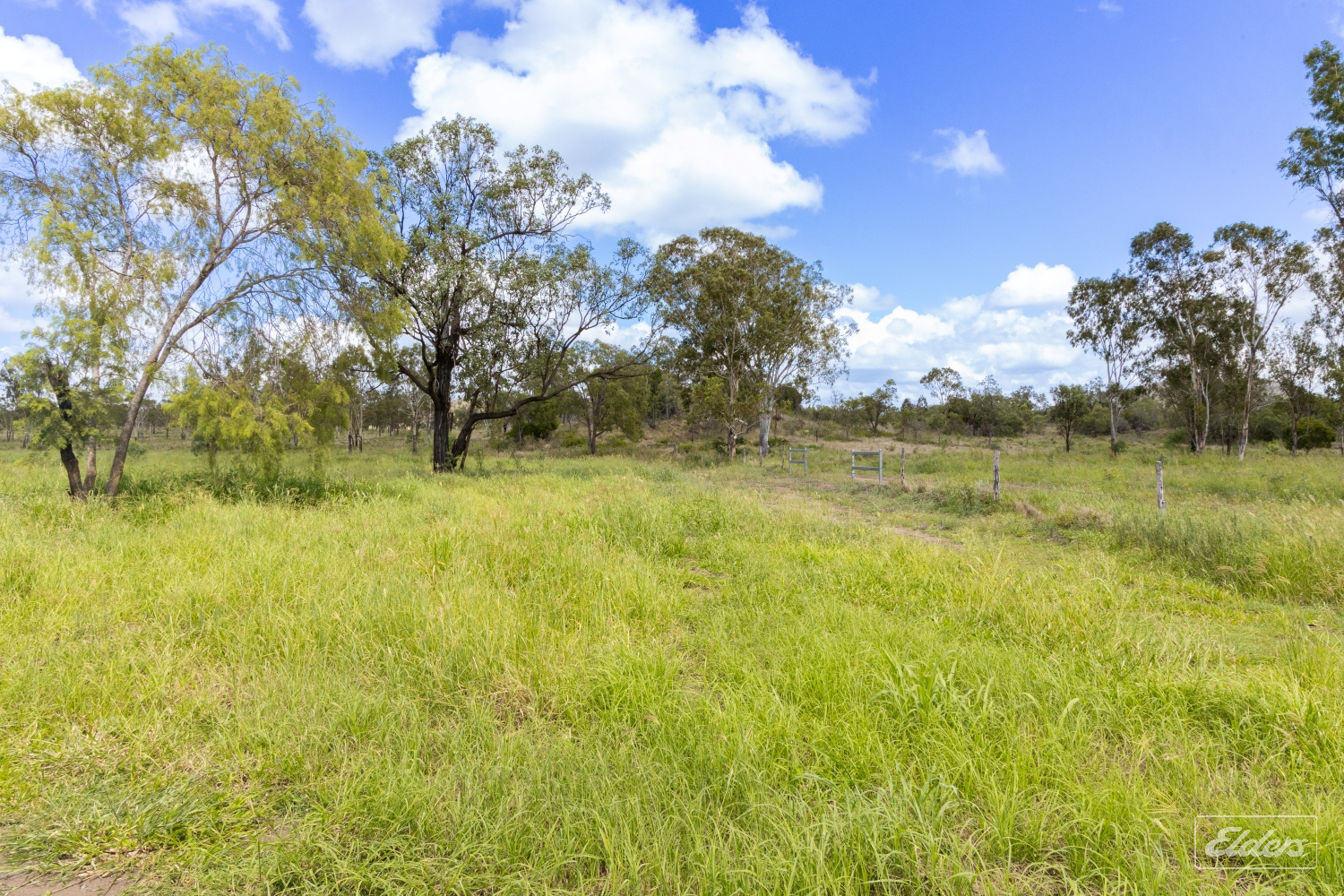 124 Lee Farm Road, Bushley, QLD, 4702 - Image 16