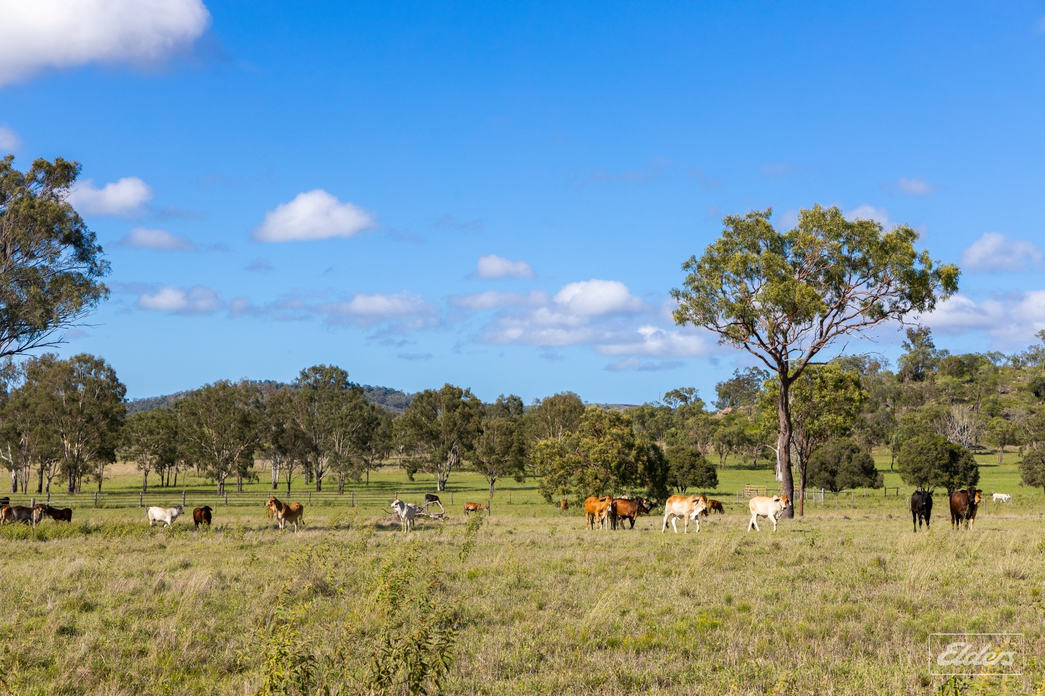 124 Lee Farm Road, Bushley, QLD, 4702 - Image 1