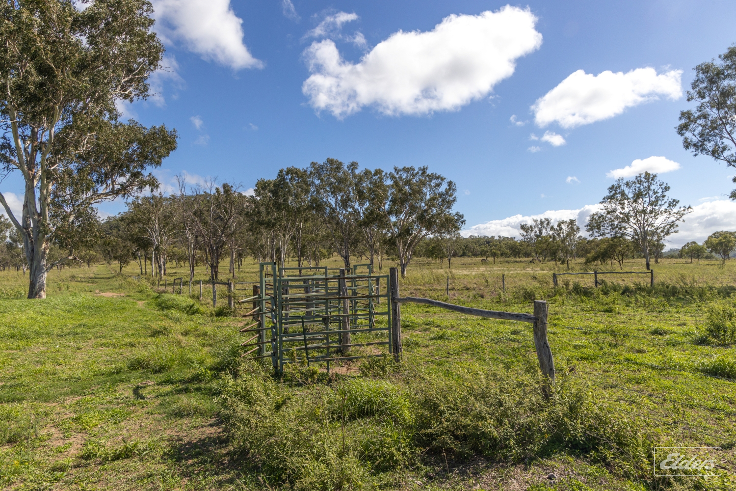 124 Lee Farm Road, Bushley, QLD, 4702 - Image 5