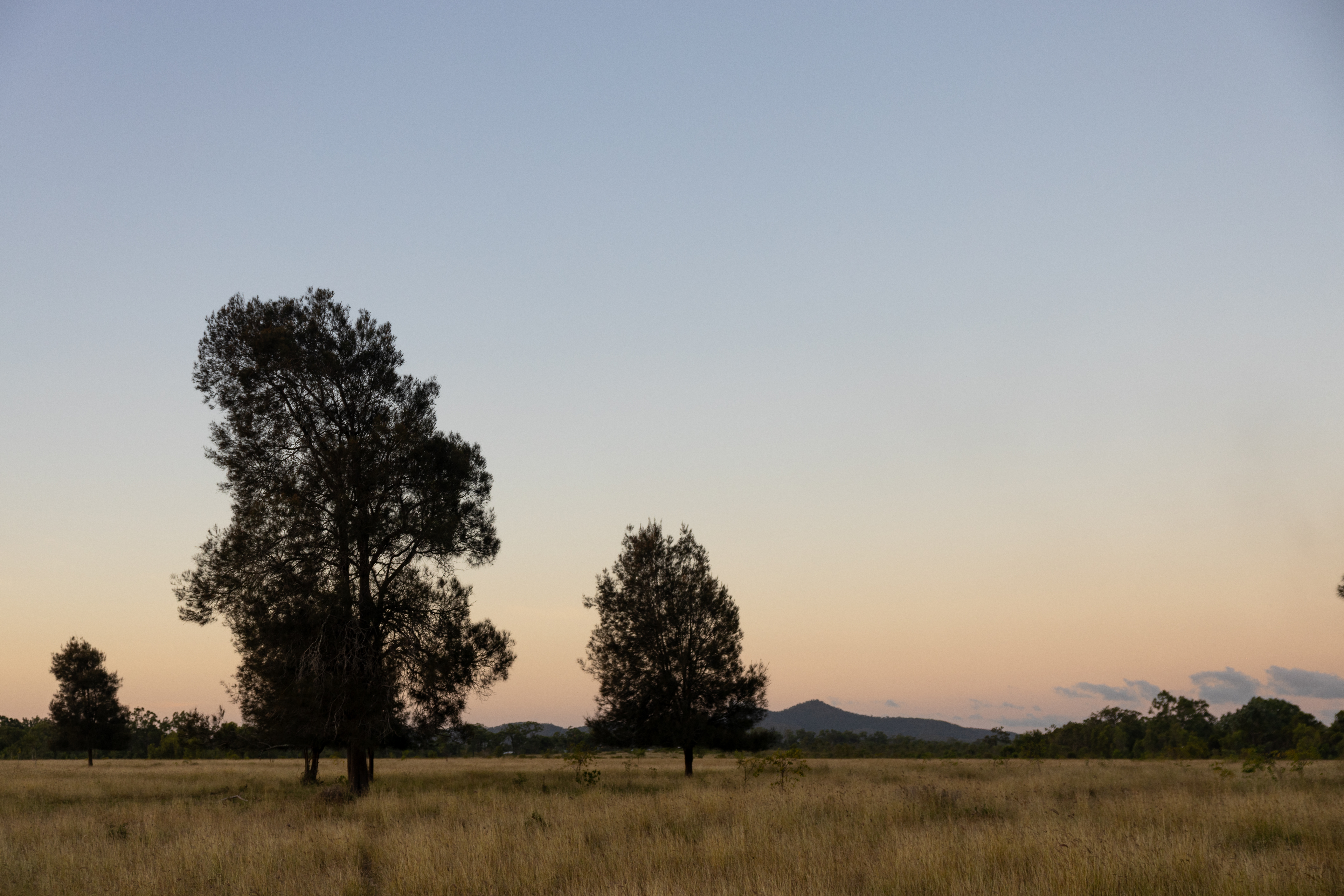 228 Dawson Road, Glenlee, QLD, 4711 - Image 4