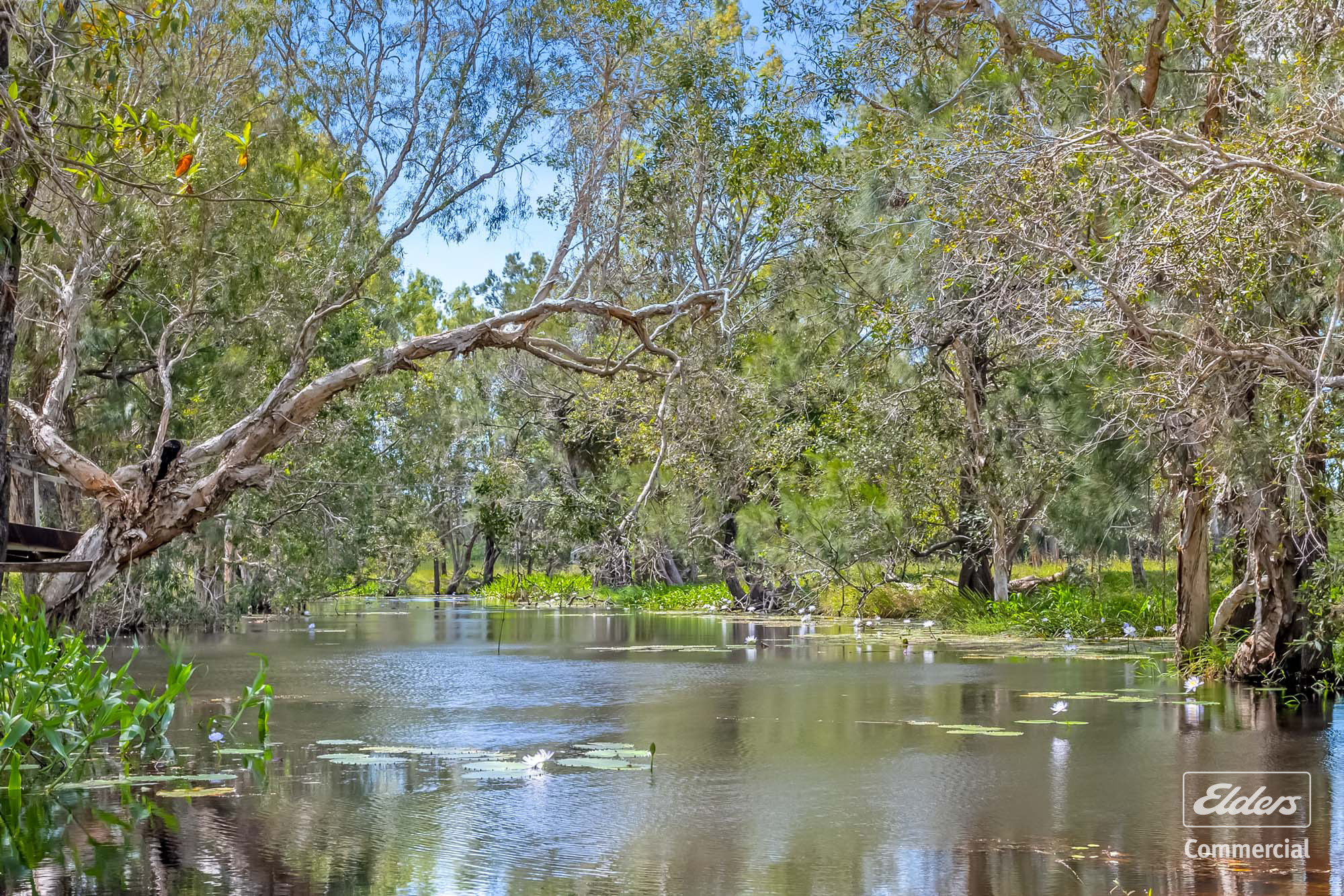 1574 Emu Park Rd, Tungamull, QLD, 4702 - Image 5