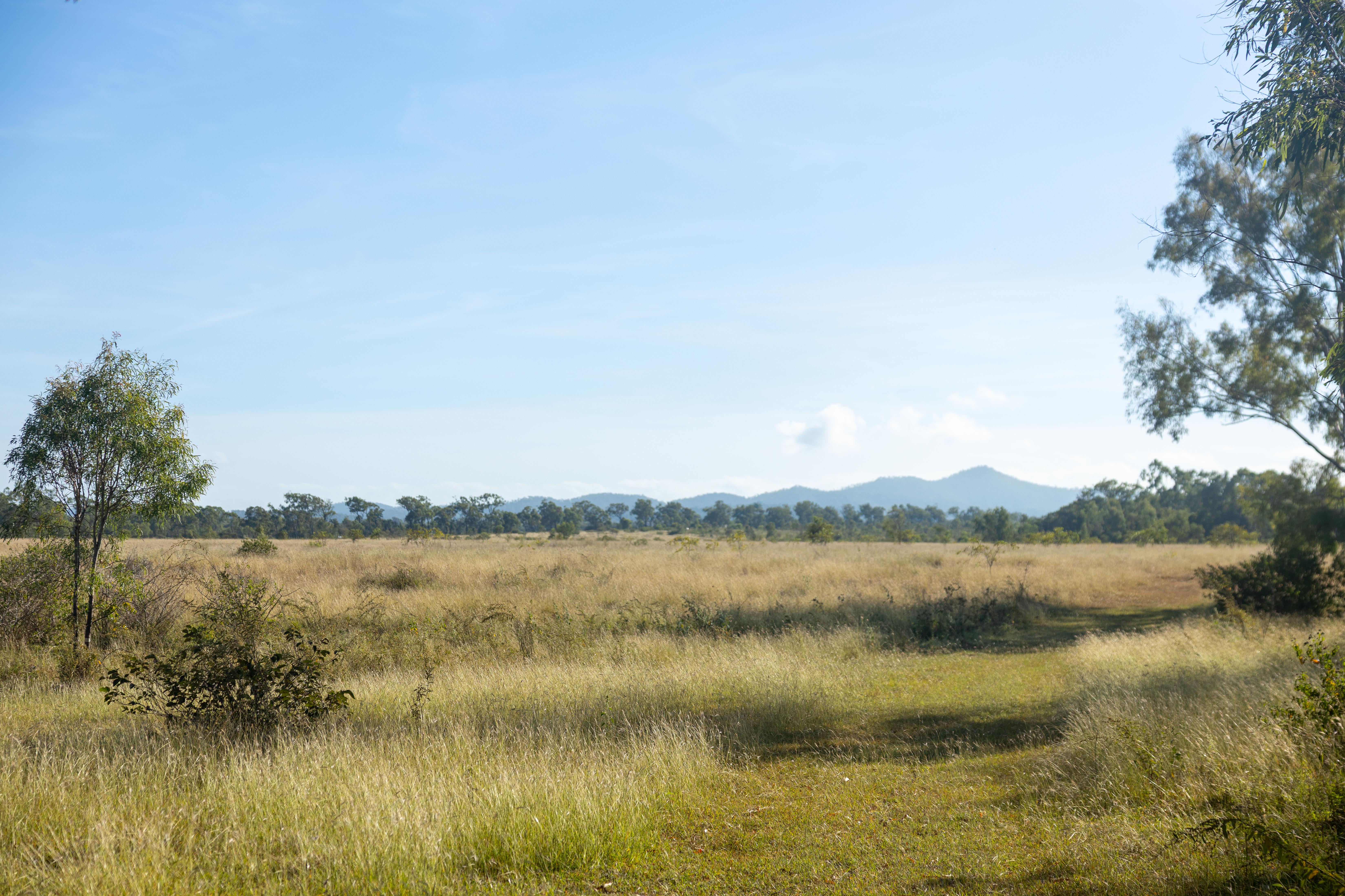228 Dawson Road, Glenlee, QLD, 4711 - Image 11