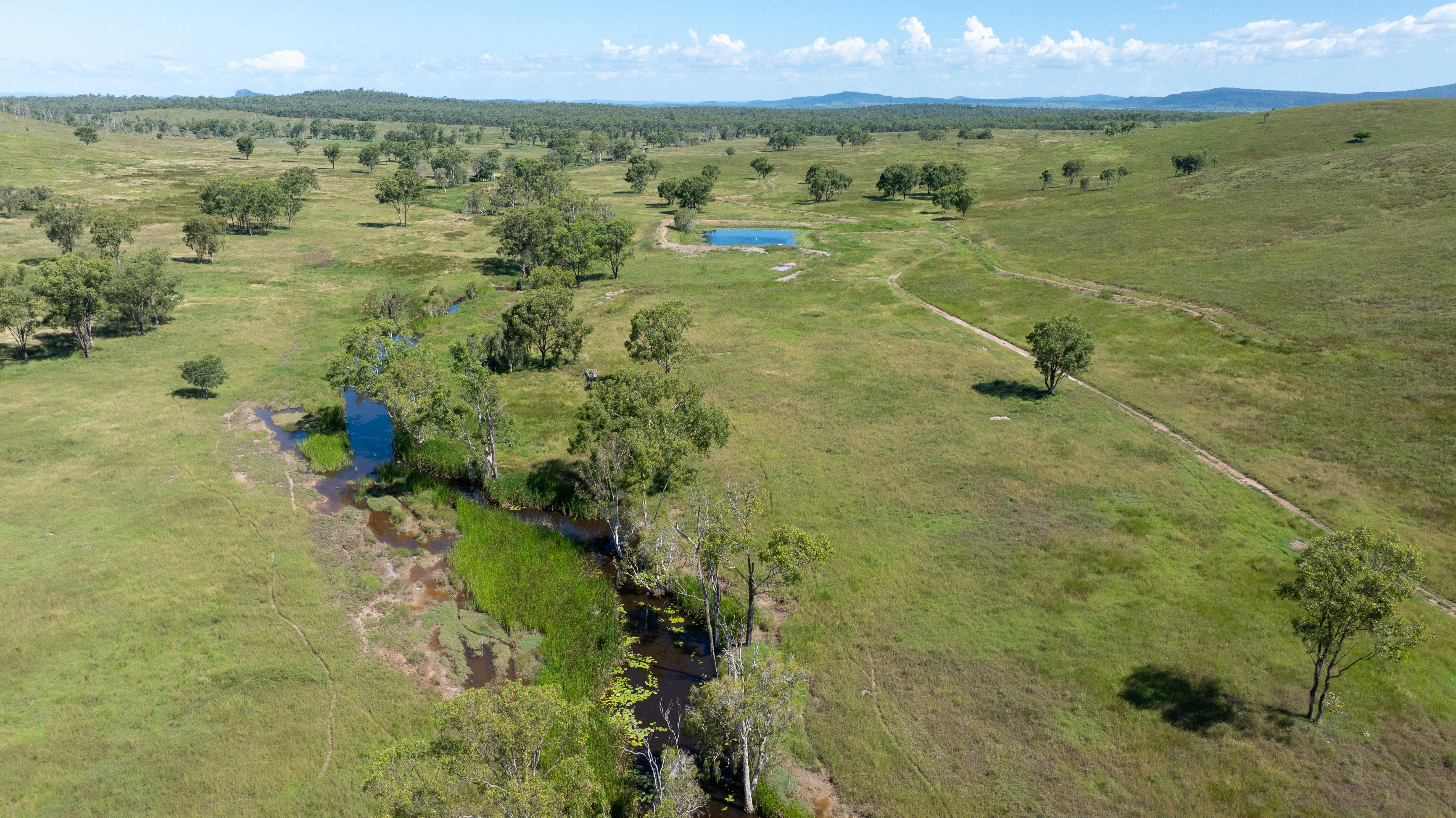 244 Weale Creek Road, Ridgelands, QLD, 4702 - Image 4