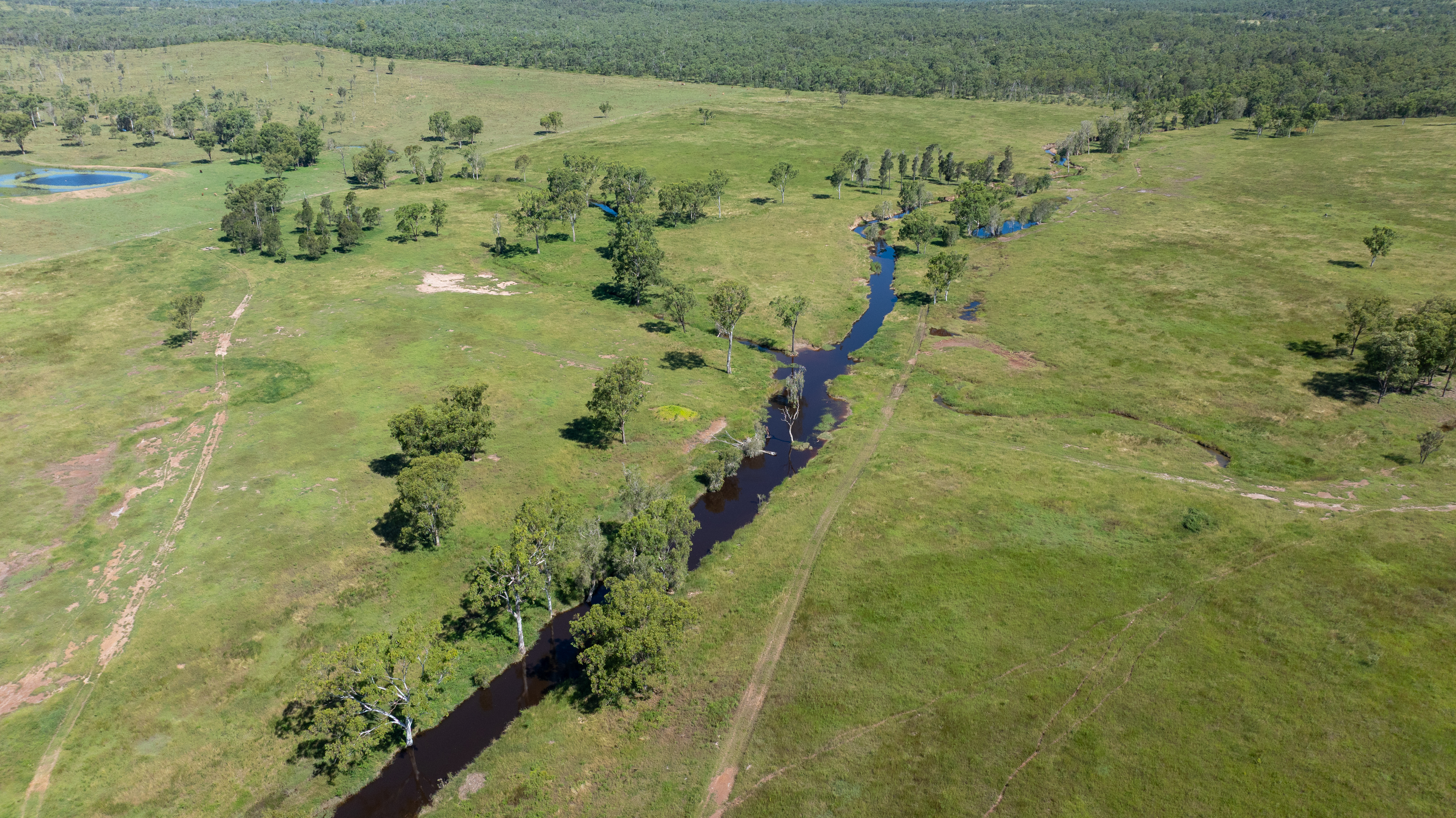 244 Weale Creek Road, Ridgelands, QLD, 4702 - Image 11