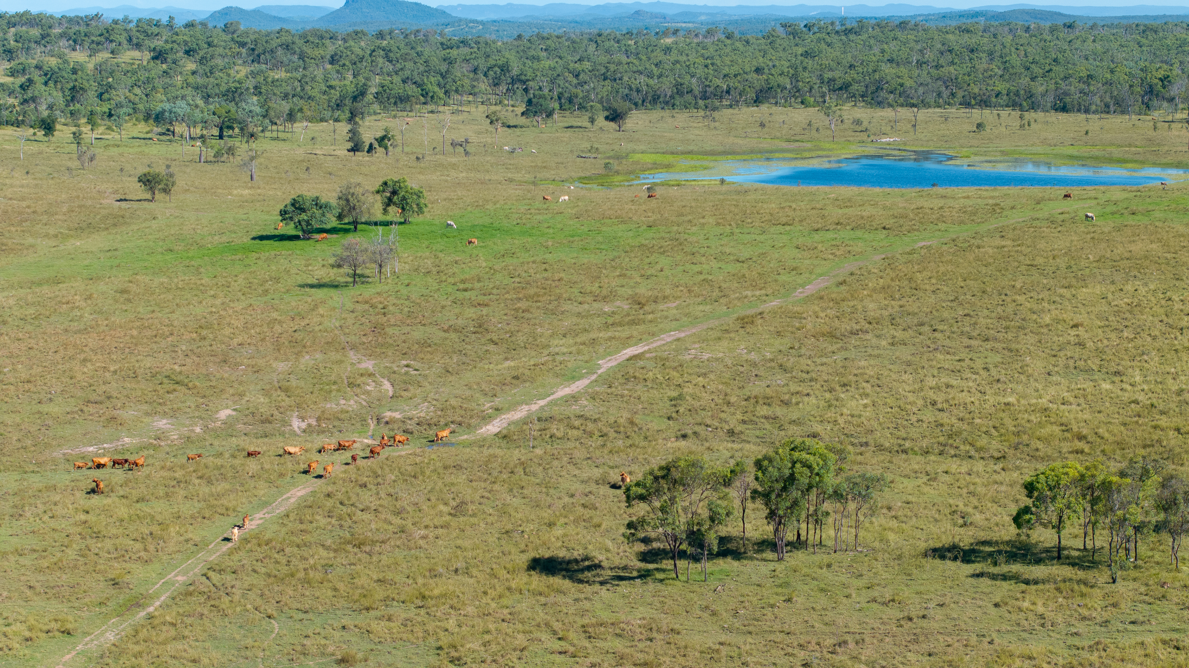 244 Weale Creek Road, Ridgelands, QLD, 4702 - Image 19