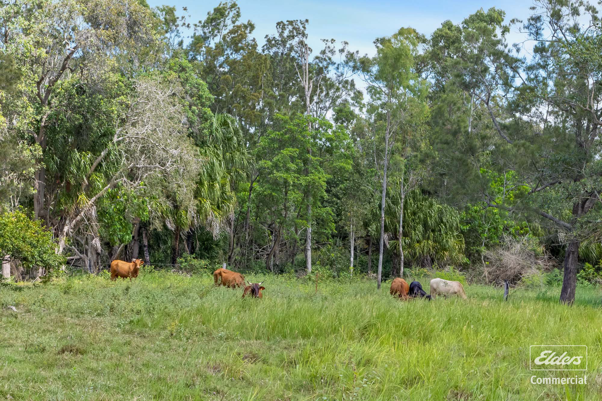 1574 Emu Park Rd, Tungamull, QLD, 4702 - Image 6