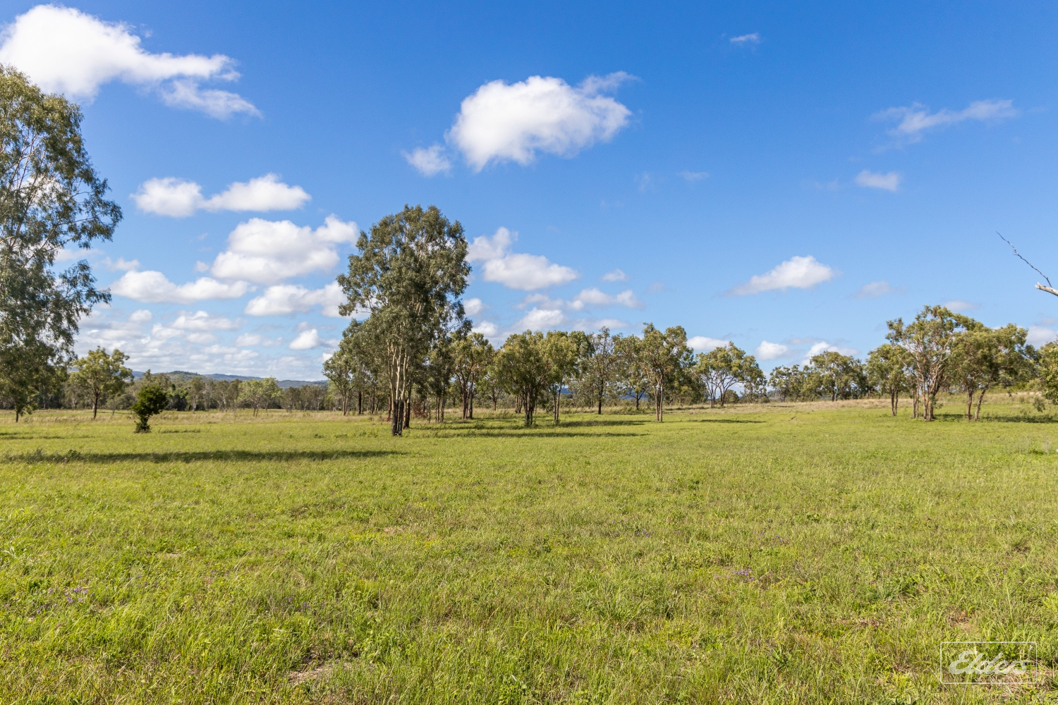124 Lee Farm Road, Bushley, QLD, 4702 - Image 20