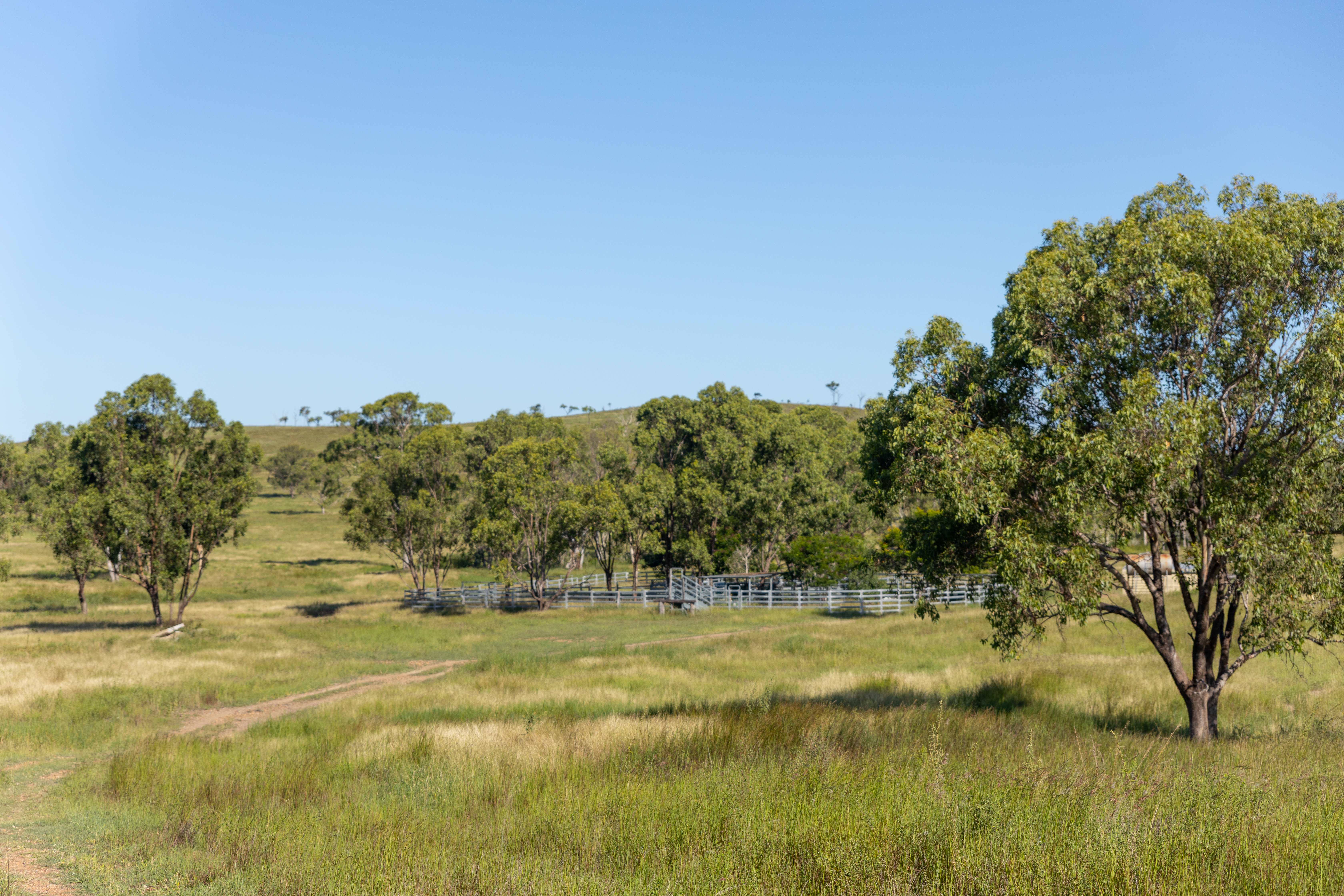 244 Weale Creek Road, Ridgelands, QLD, 4702 - Image 18