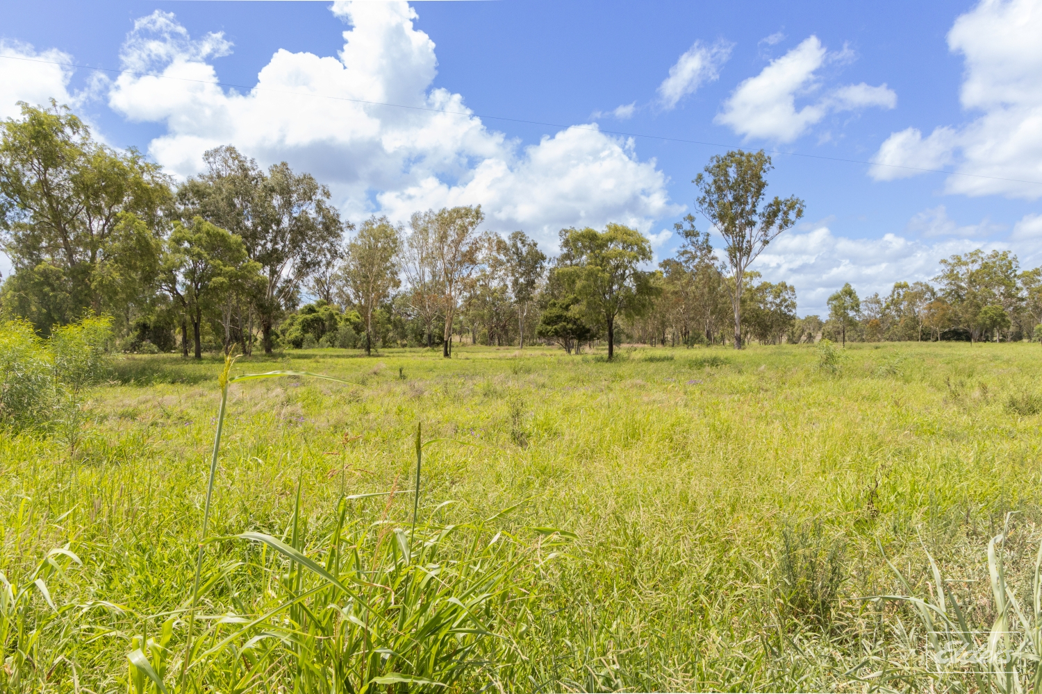 124 Lee Farm Road, Bushley, QLD, 4702 - Image 13