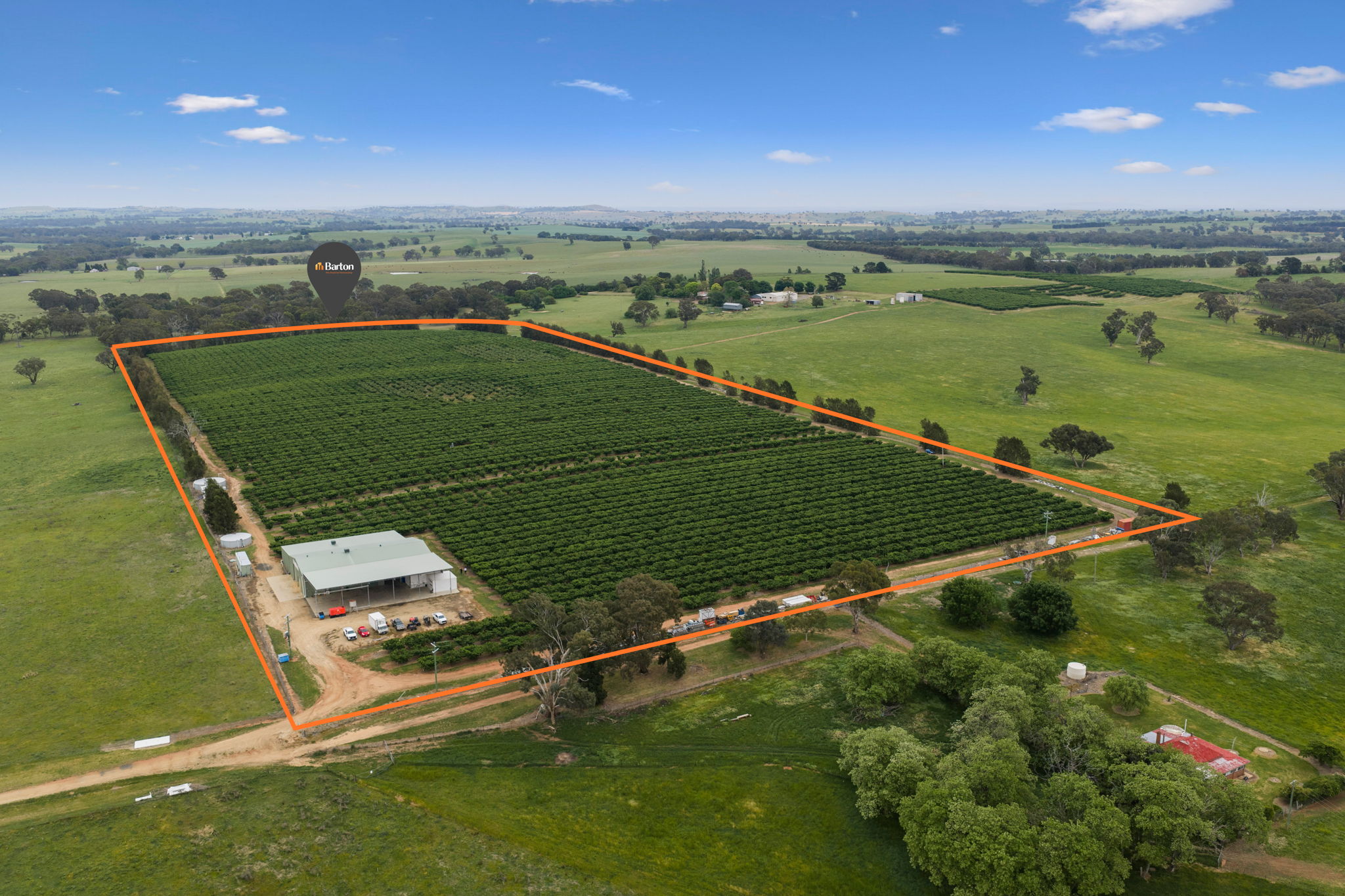 3129 Olympic Highway, Young NSW 2594