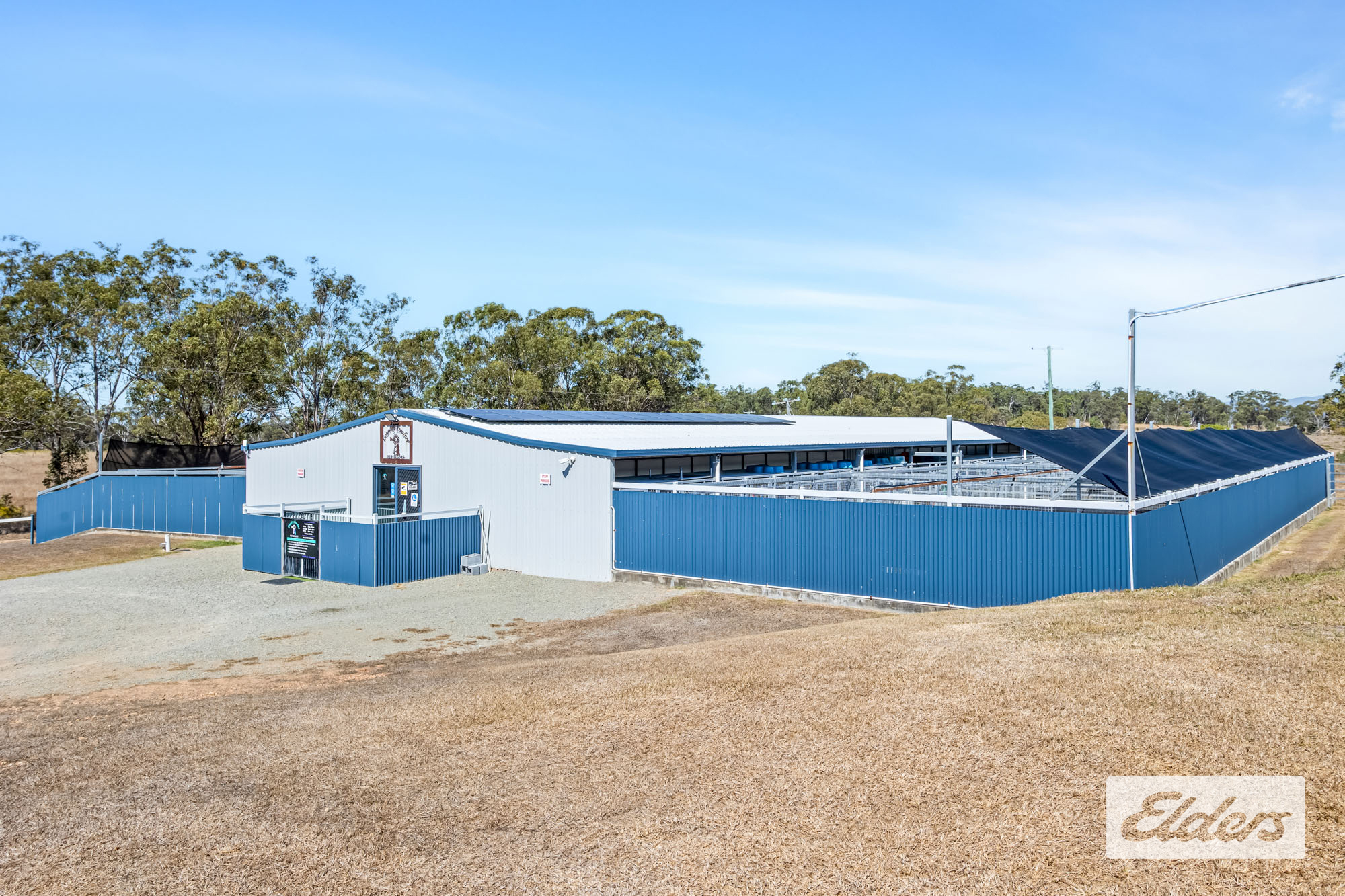 356 Mount Larcom-Bracewell Road, Machine Creek, QLD, 4695 - Image 6