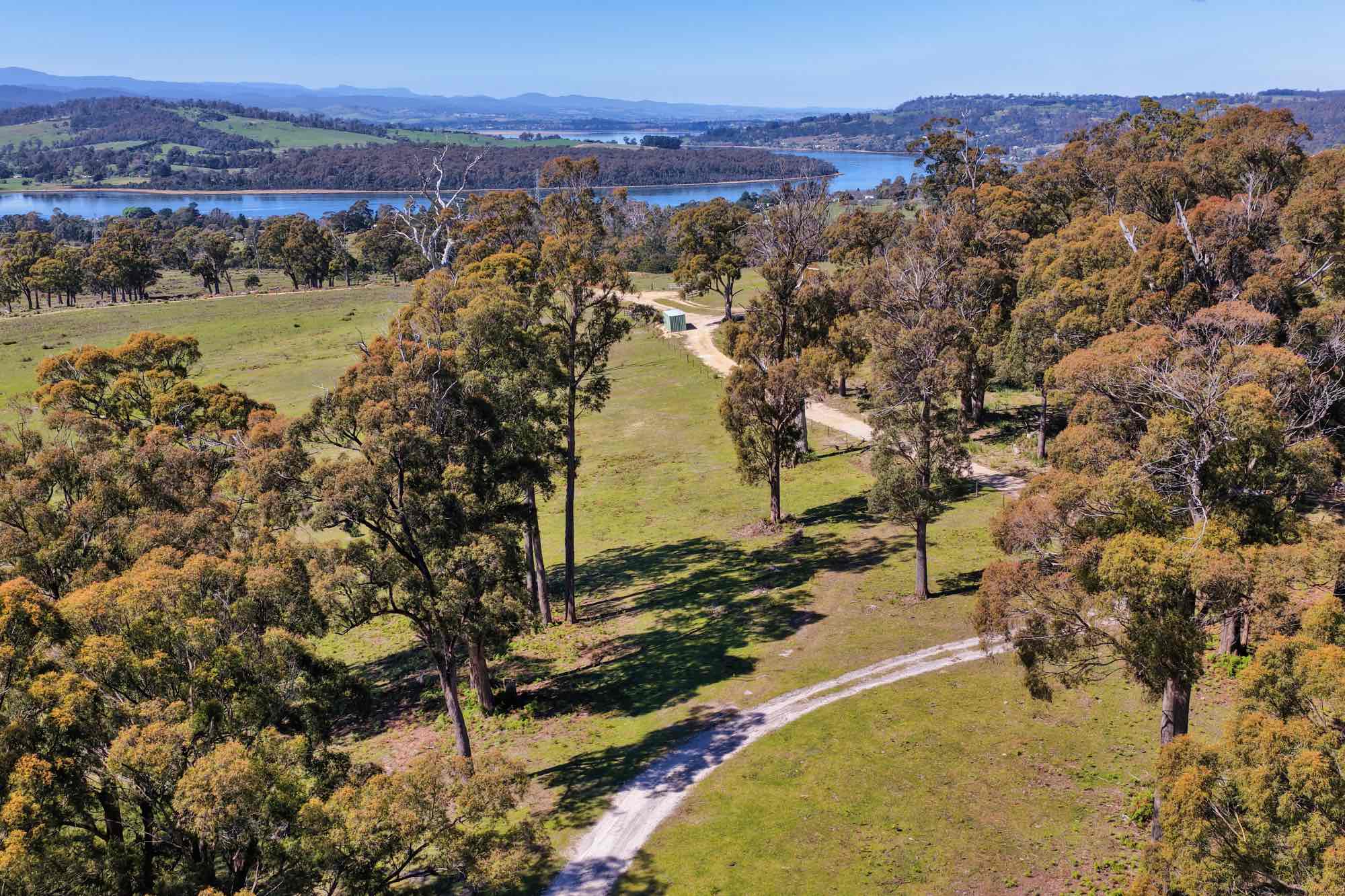 Property/137 Hendersons Lane, Gravelly Beach, TAS, 7276 - Image 13