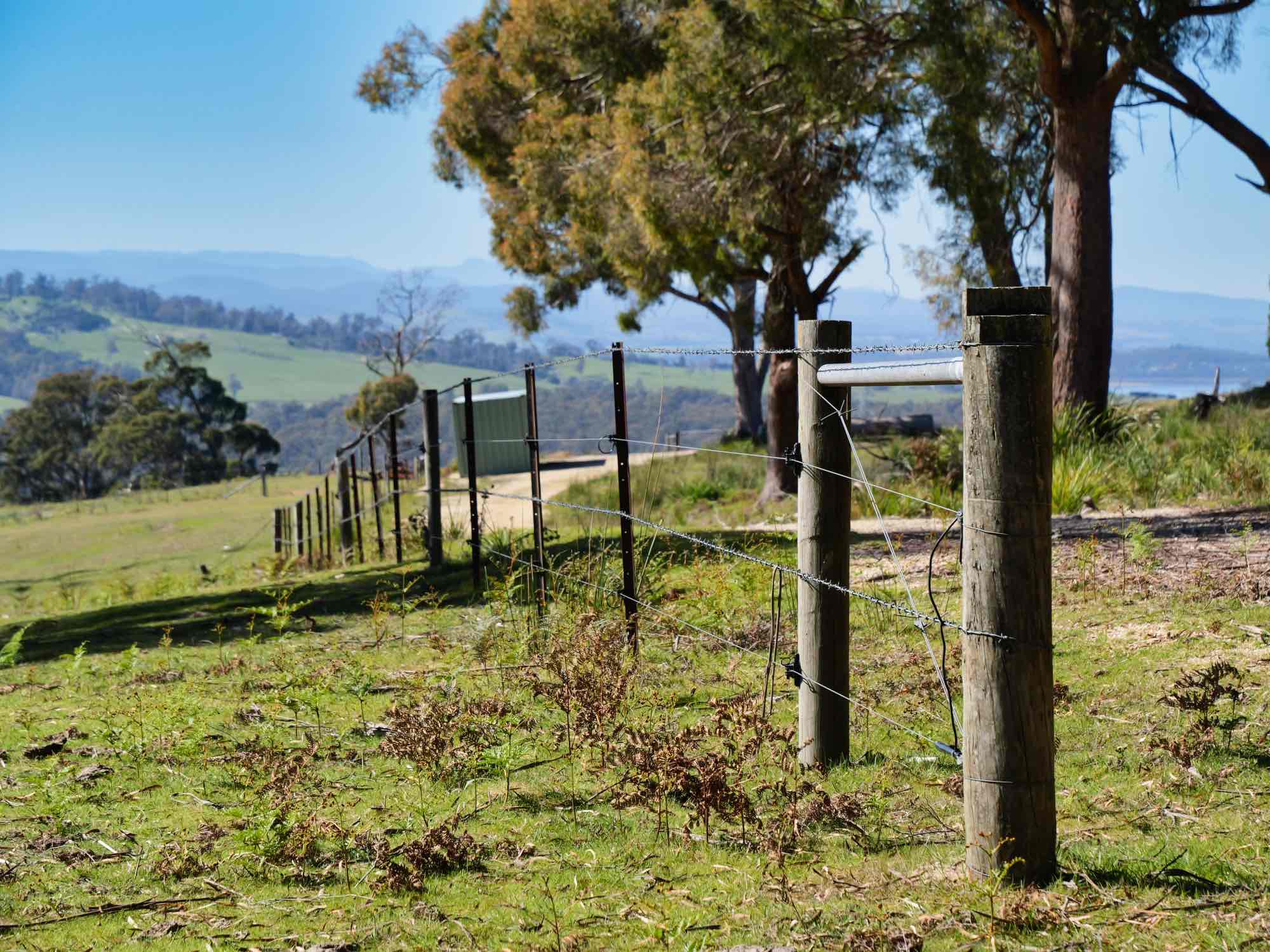 Property/137 Hendersons Lane, Gravelly Beach, TAS, 7276 - Image 8