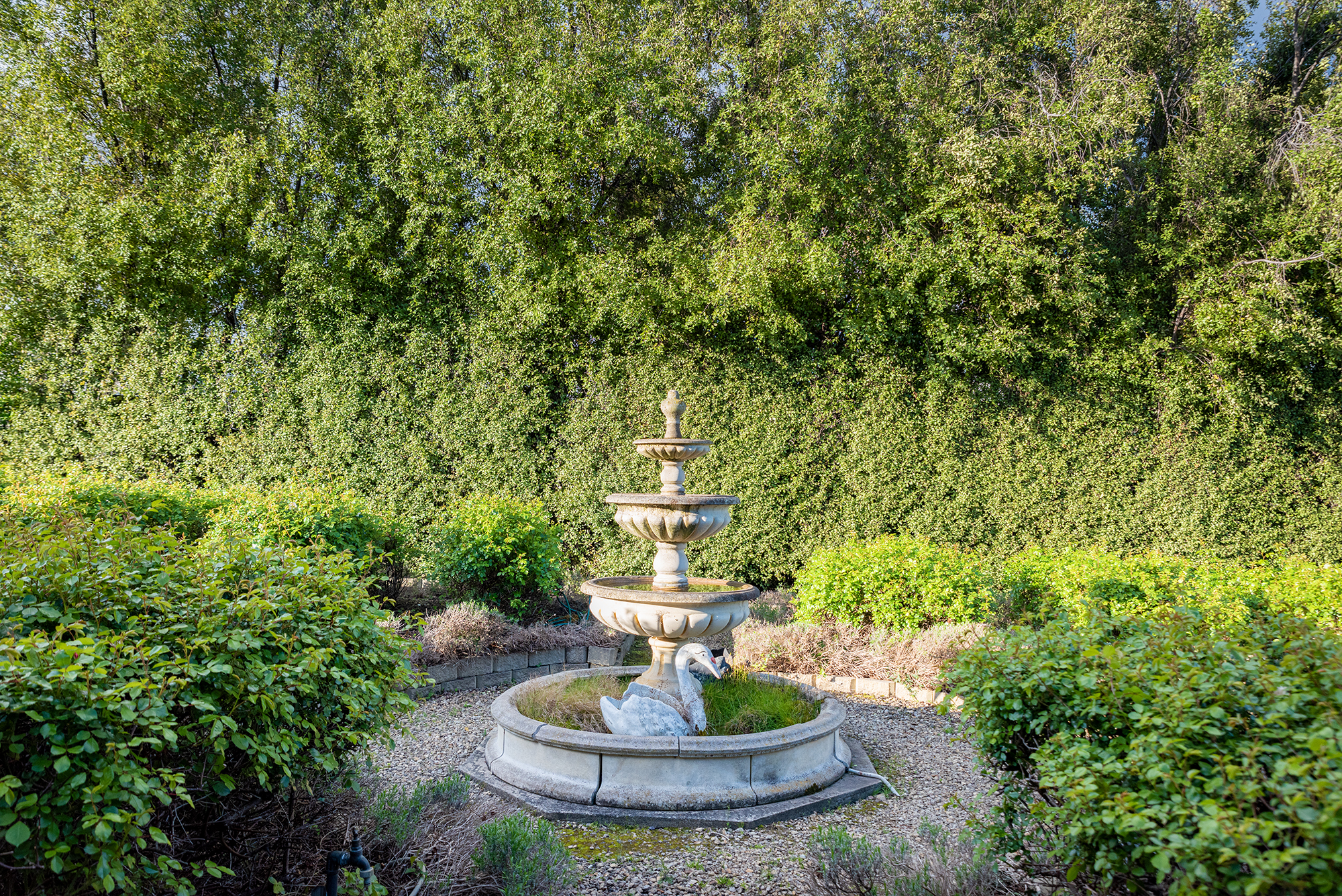 132 Davey Street, Hobart, TAS, 7000 - Image 22