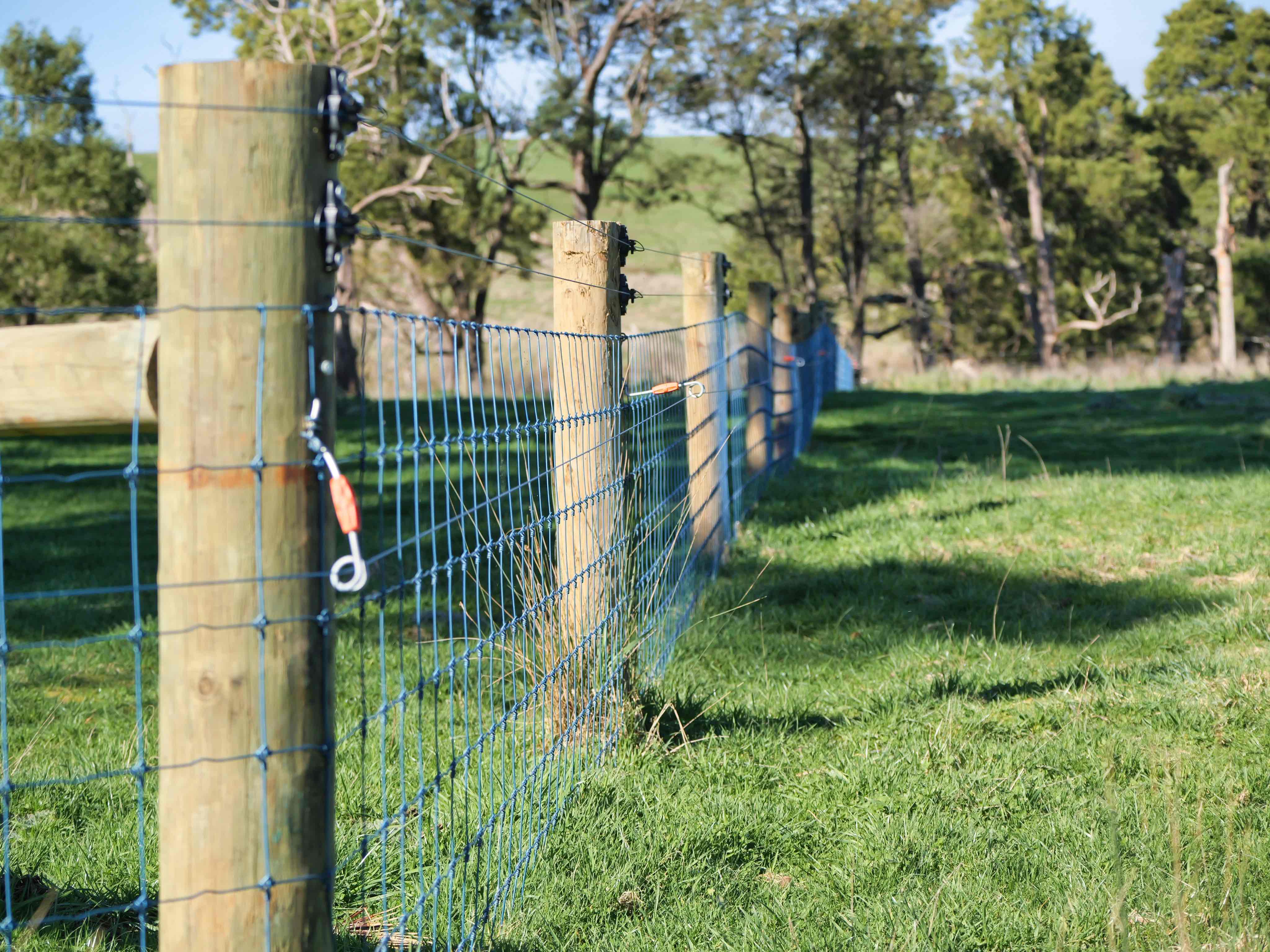 Warrentinna Road, Winnaleah, TAS, 7265 - Image 9