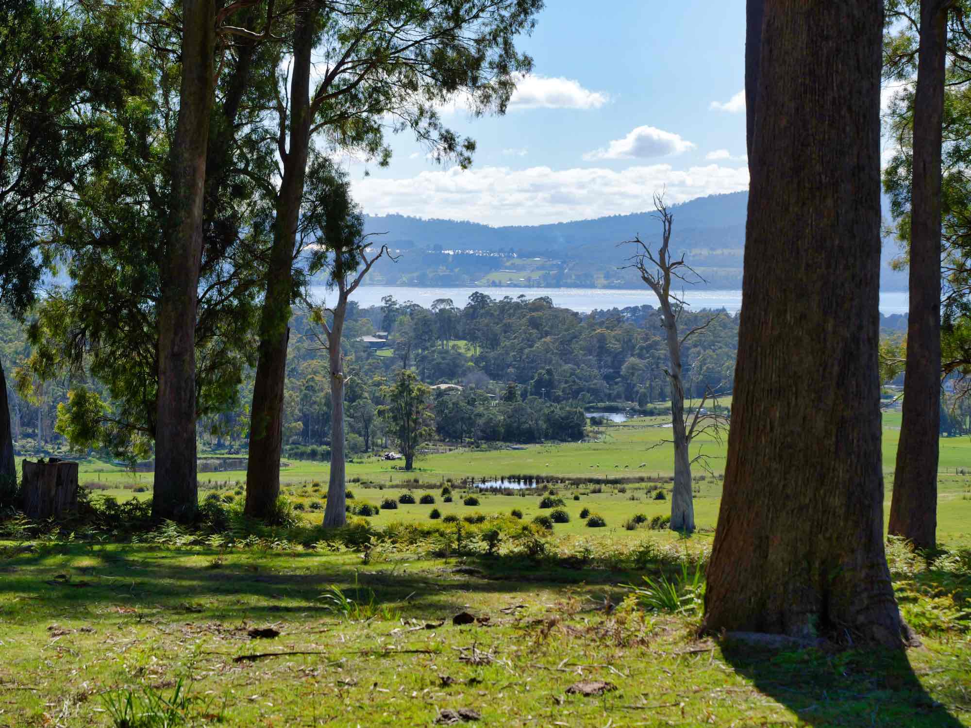 Property/137 Hendersons Lane, Gravelly Beach, TAS, 7276 - Image 16