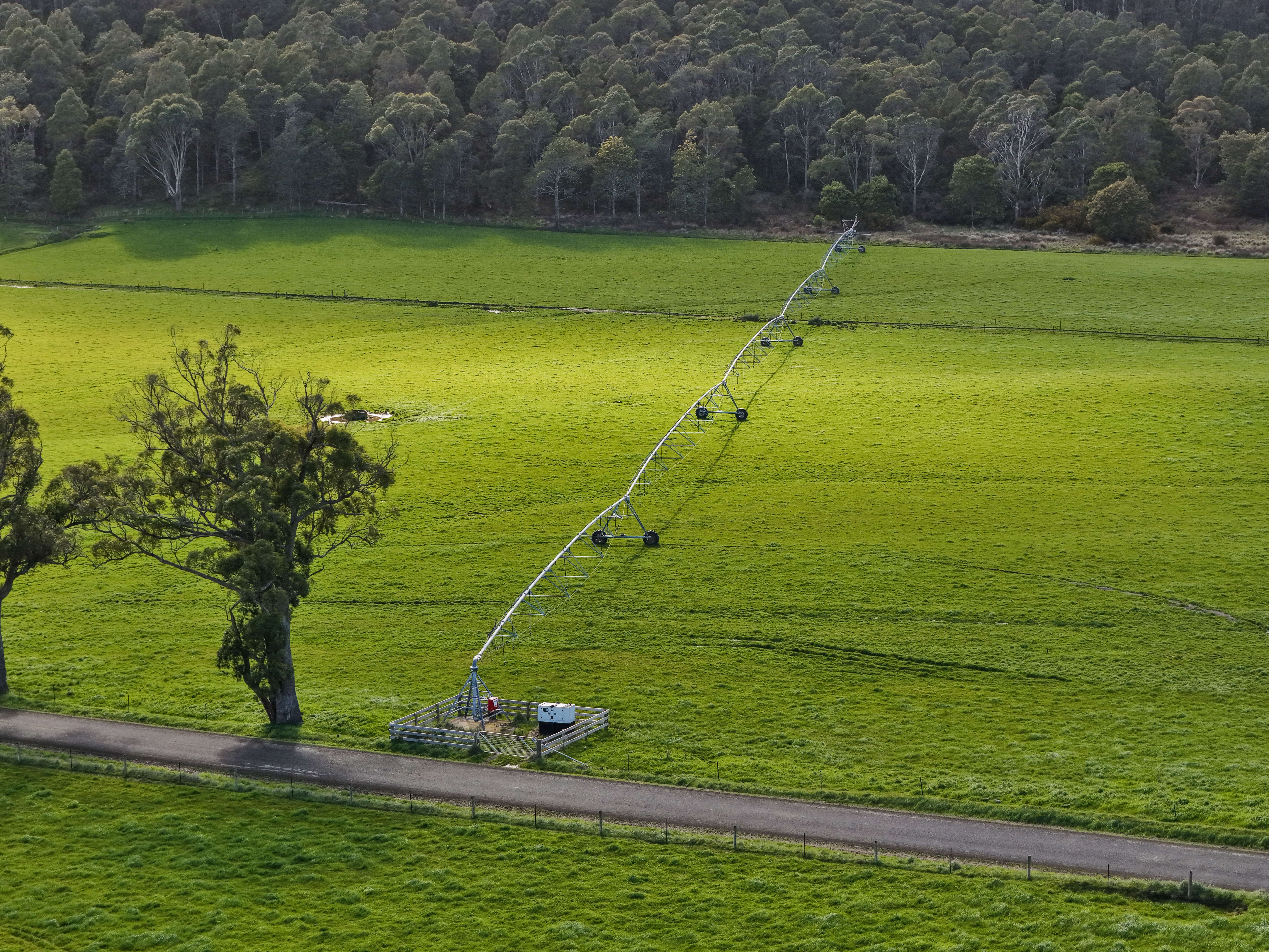 1037 & 1044 Dairy Plains Road, Western Creek, TAS, 7304 - Image 6