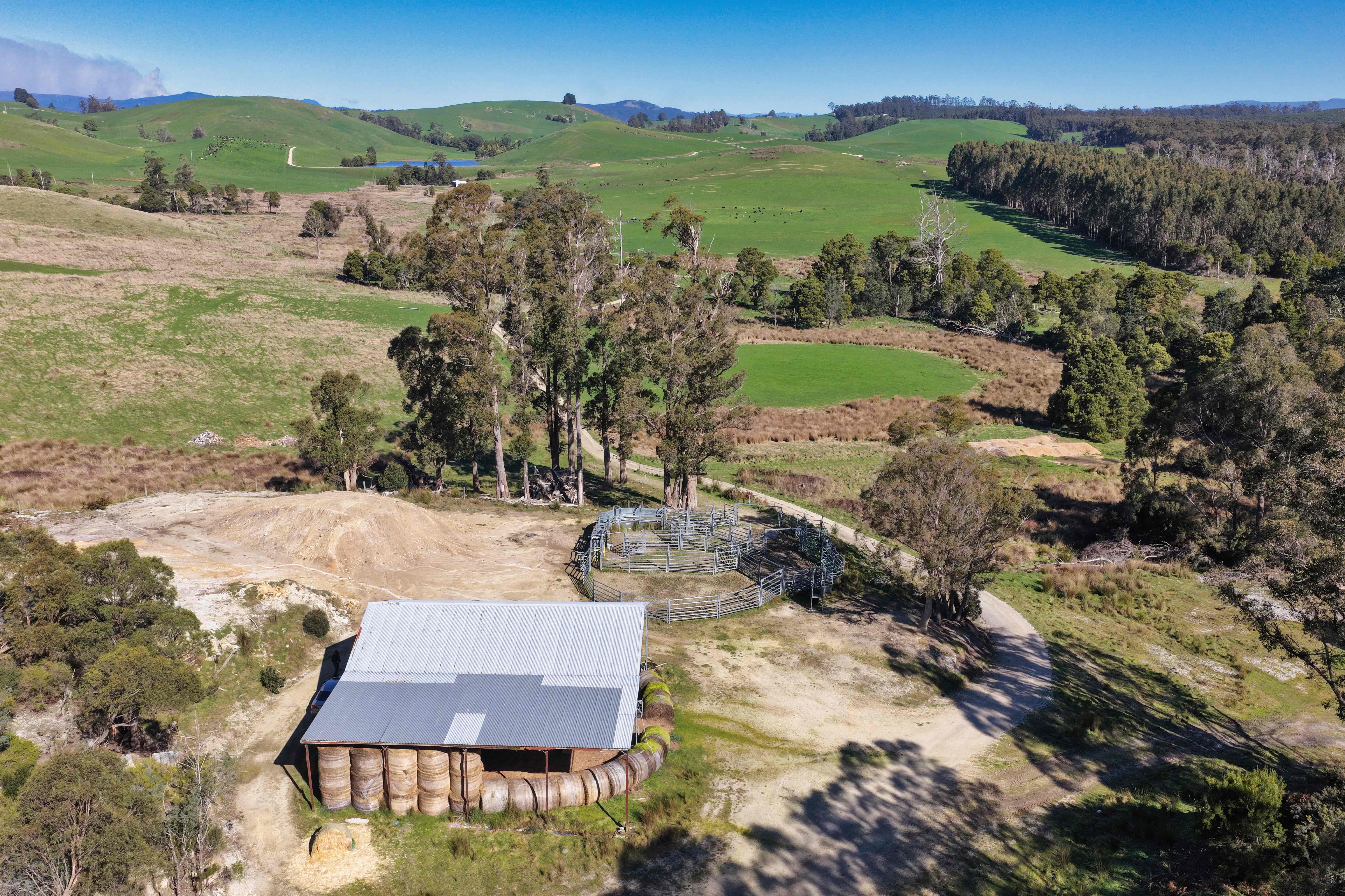 Warrentinna Road, Winnaleah, TAS, 7265 - Image 8