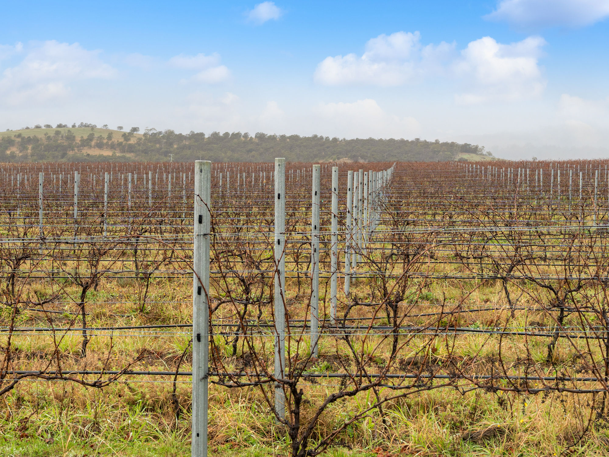 14 Brownwood Estate Road, Campania, TAS, 7026 - Image 1