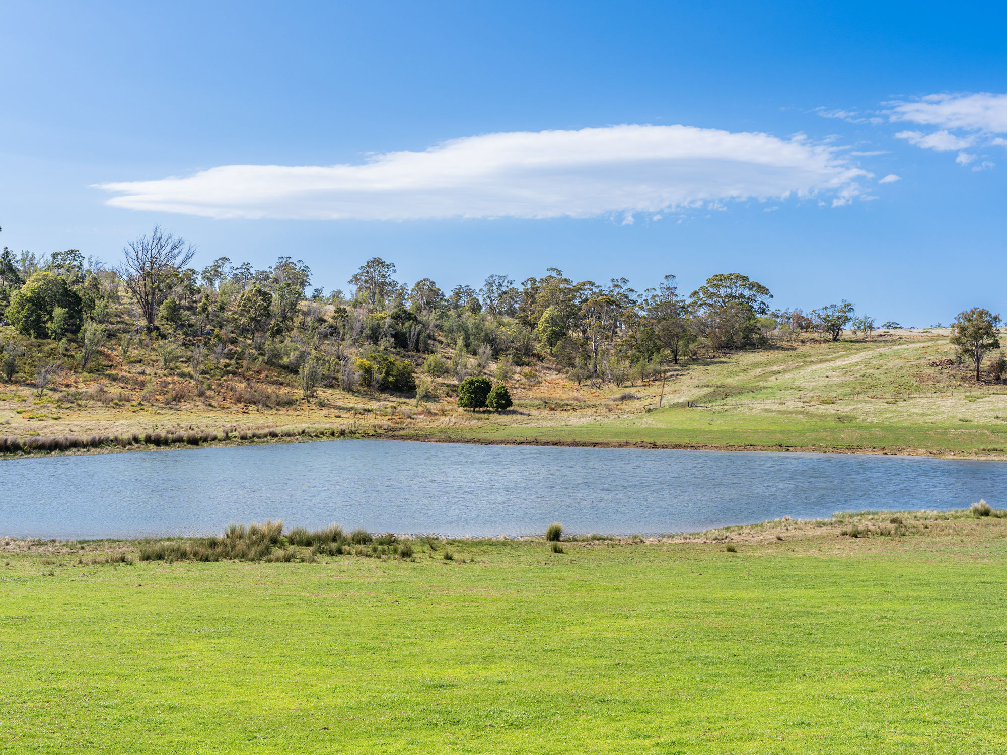492 Delmore Road, Wattle Hill, TAS, 7172 - Image 6