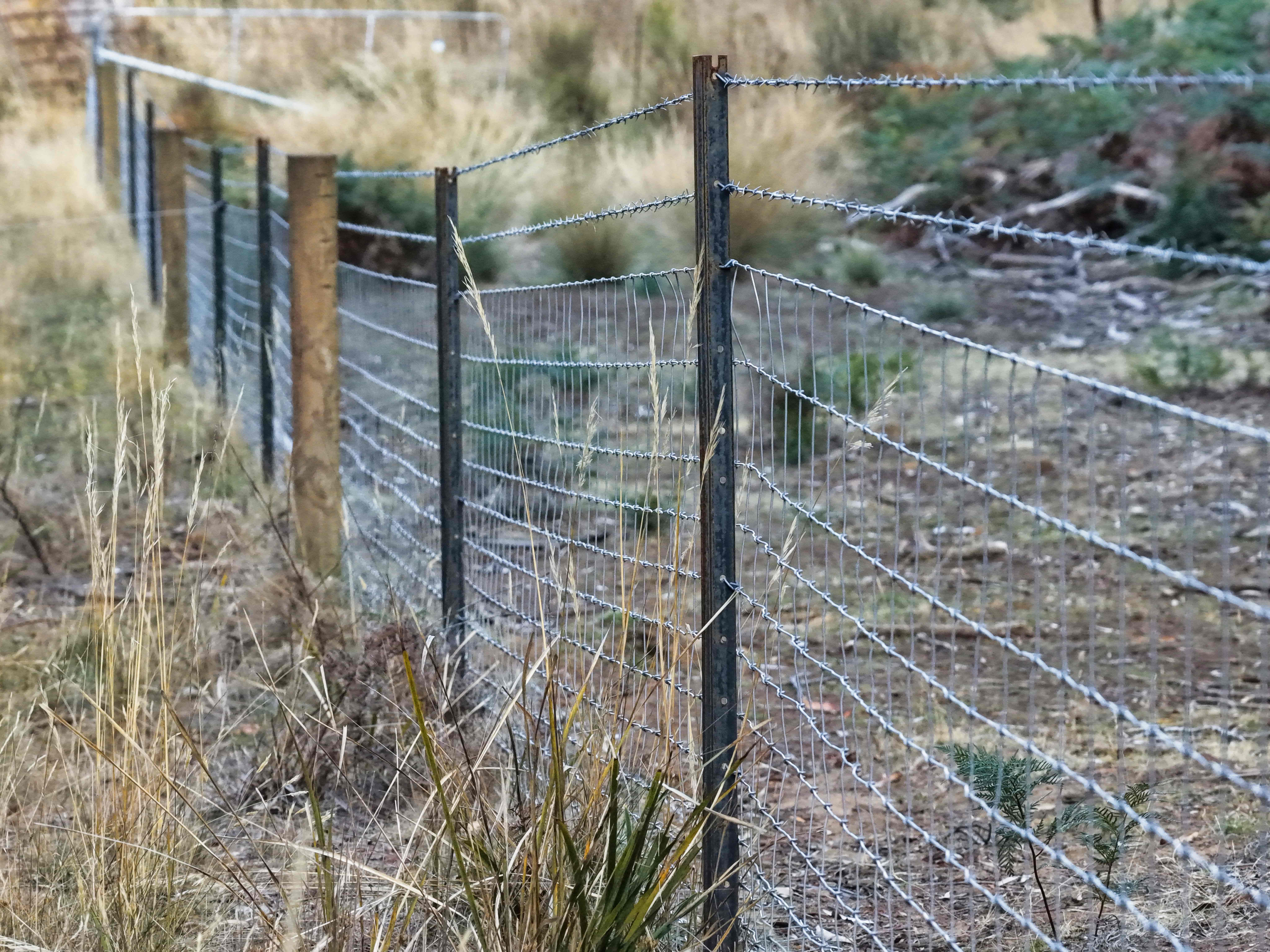 304 Porters Bridge, Exton, TAS, 7303 - Image 12