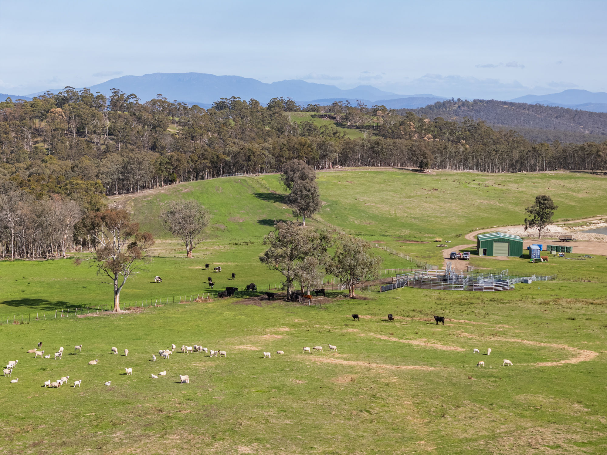 492 Delmore Road, Wattle Hill, TAS, 7172 - Image 5