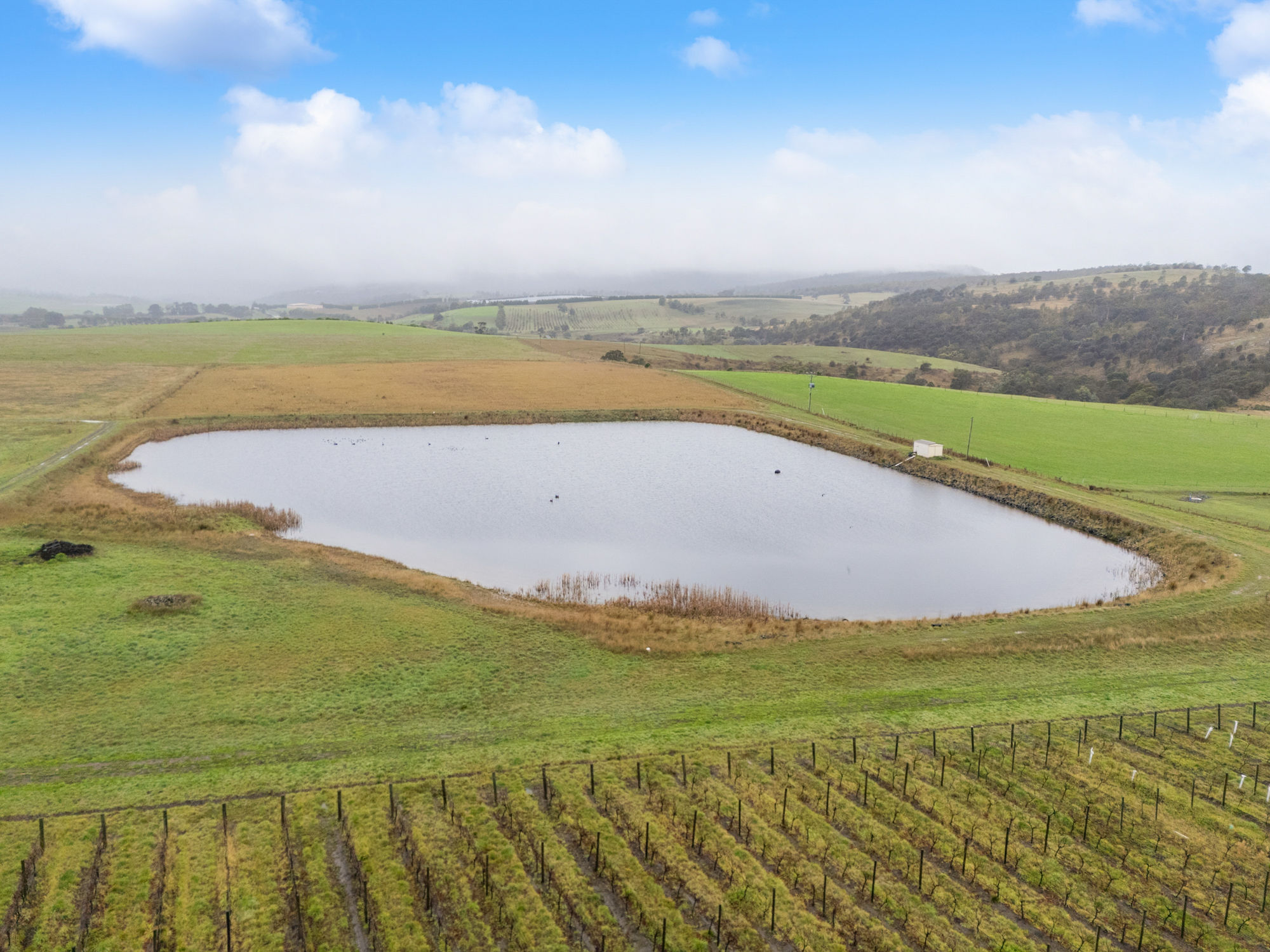 14 Brownwood Estate Road, Campania, TAS, 7026 - Image 5