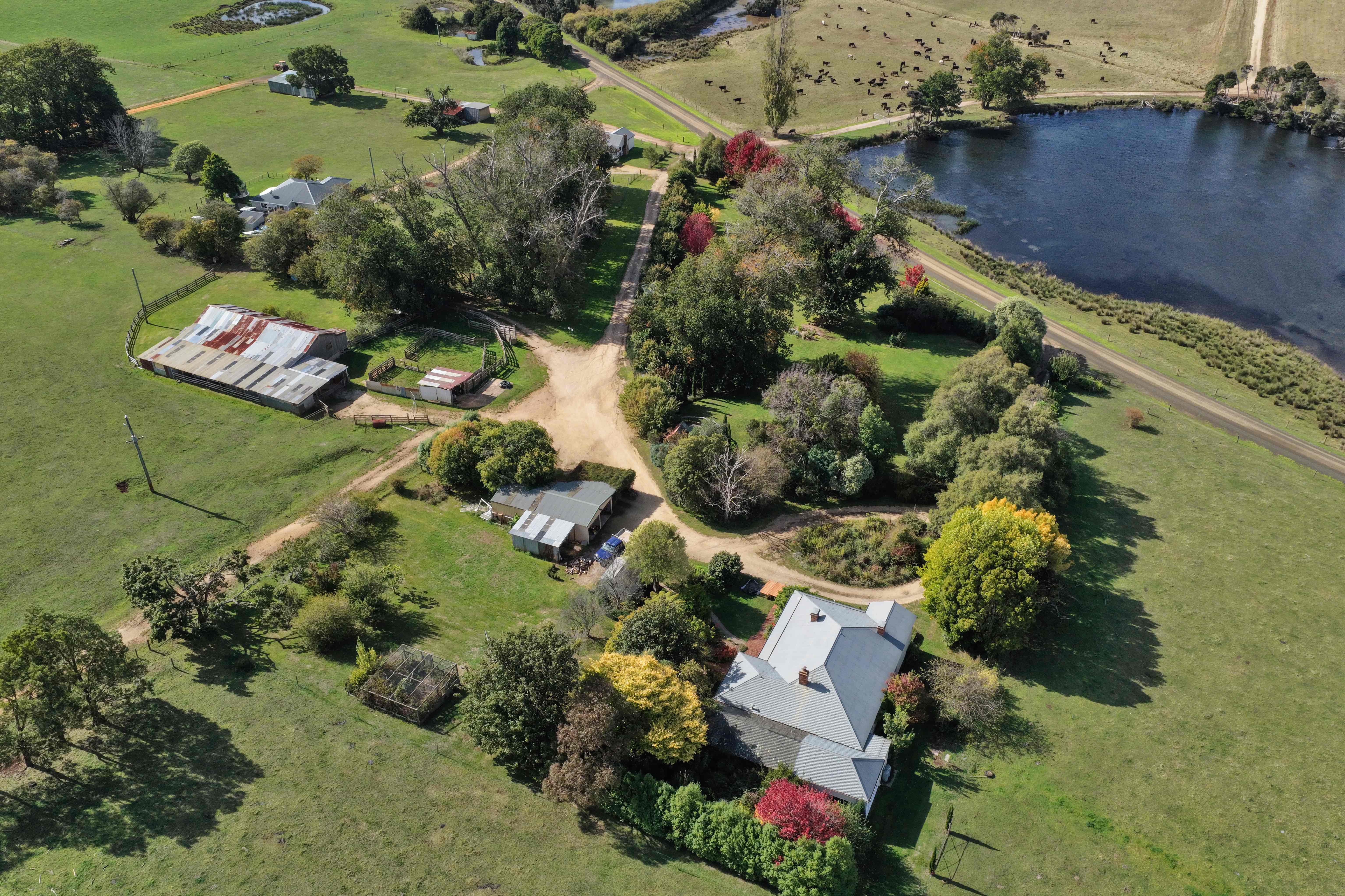 985 Ferny Hill Road, Bridport, TAS, 7262 - Image 13