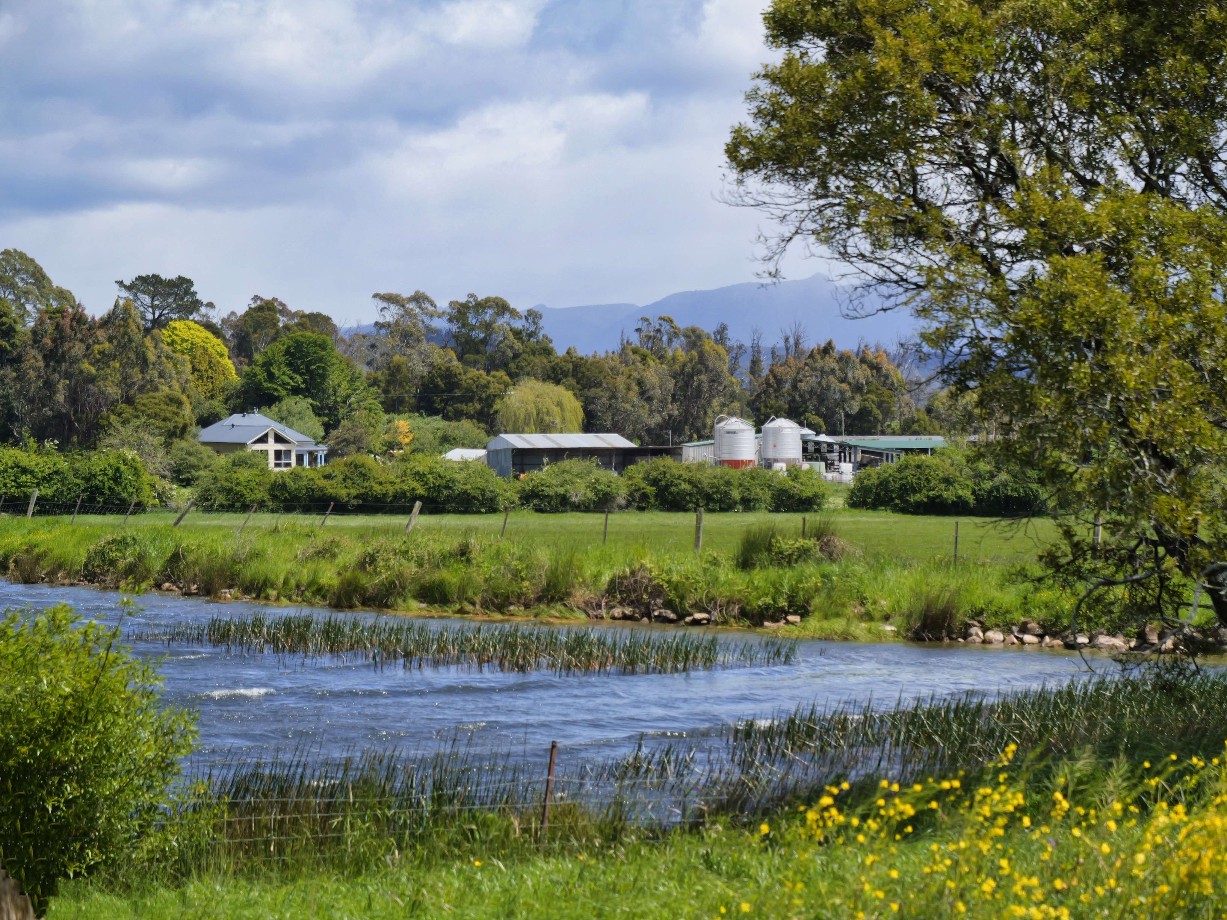 145 Fernleigh Road, Caveside, TAS, 7304 - Image 16