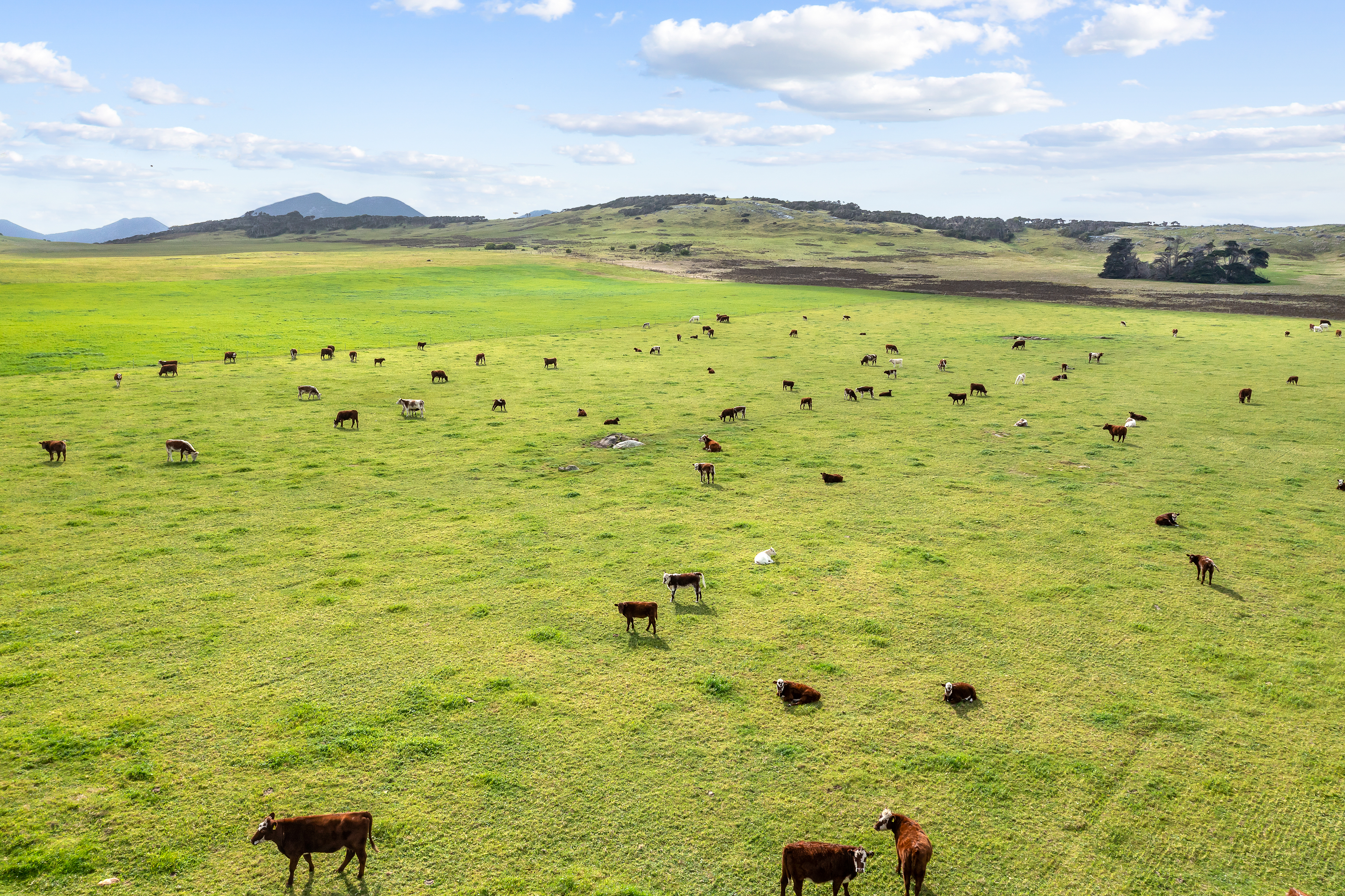 392 Lady Barron Road, Ranga, TAS, 7255 - Image 2