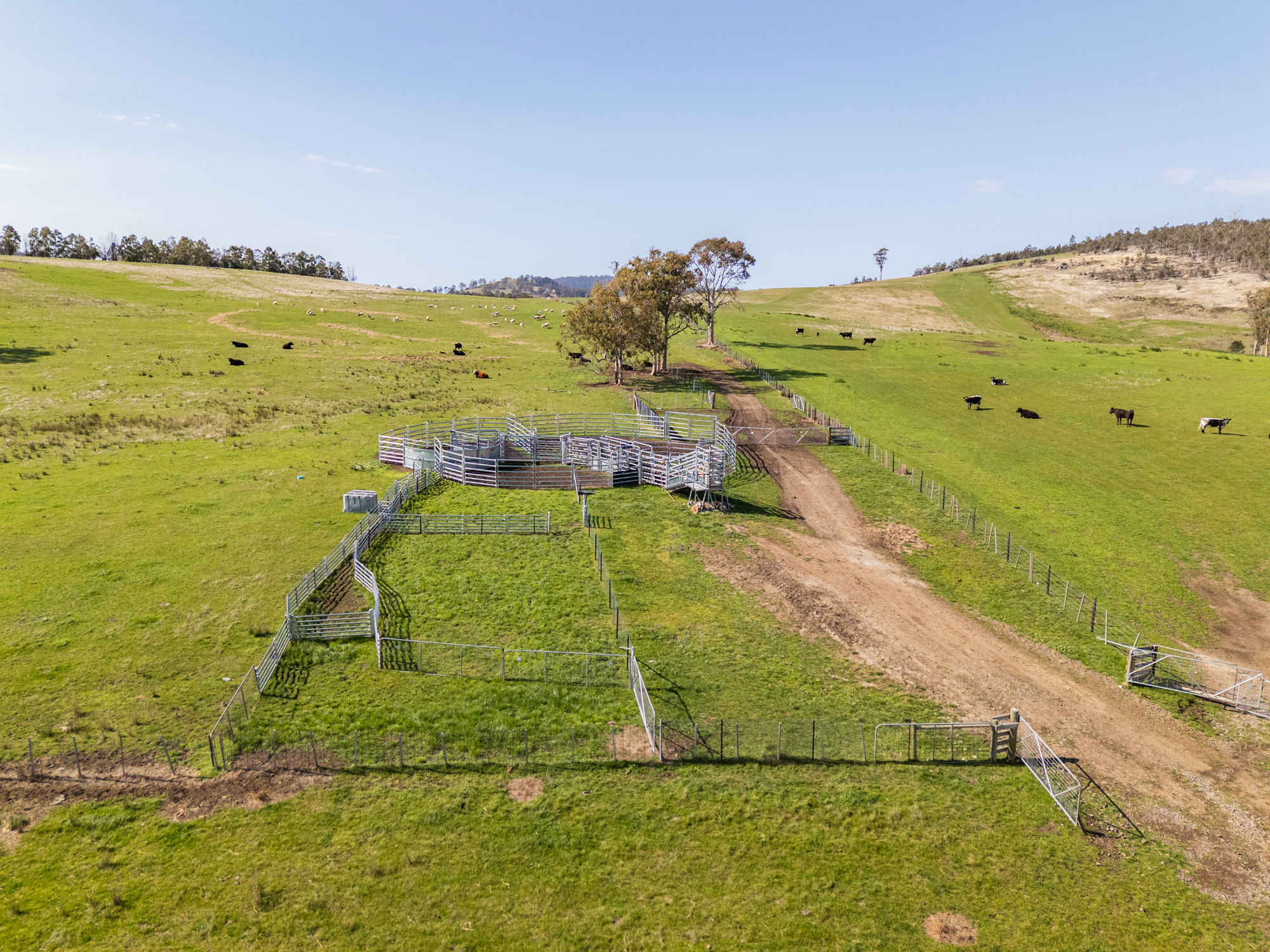 492 Delmore Road, Wattle Hill, TAS, 7172 - Image 8