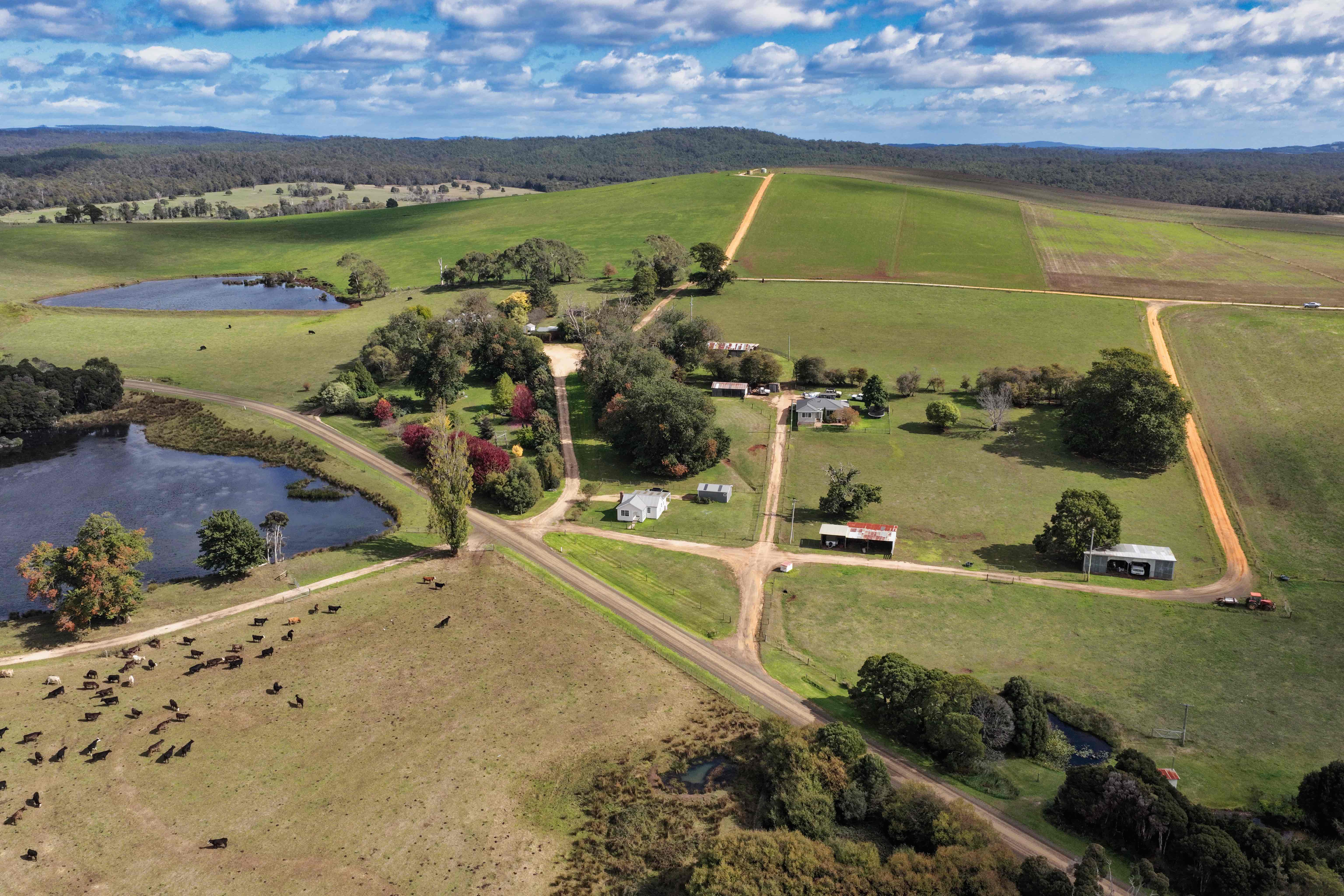 985 Ferny Hill Road, Bridport, TAS, 7262 - Image 1