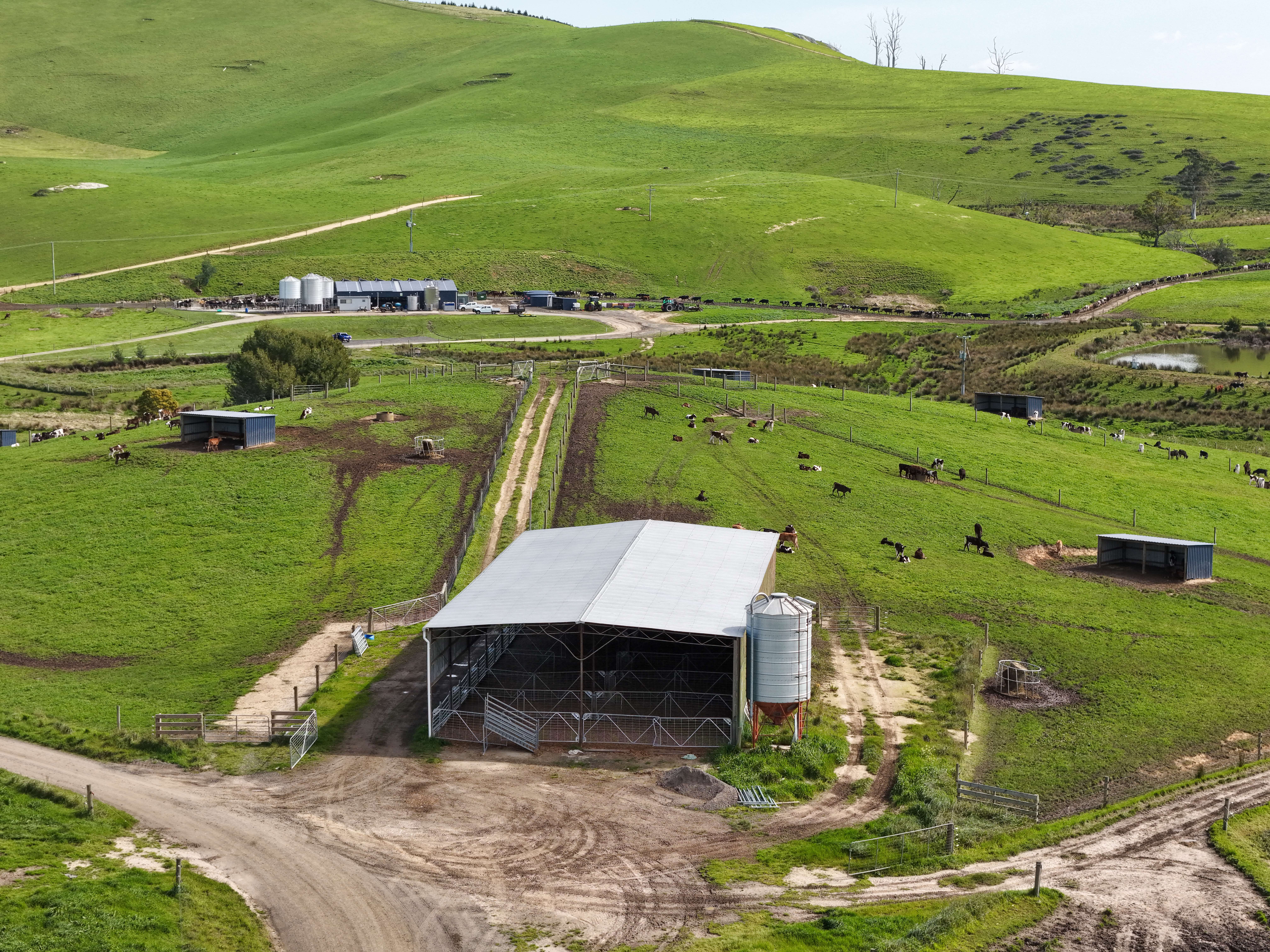110 Willis Road, Lietinna, TAS, 7260 - Image 16