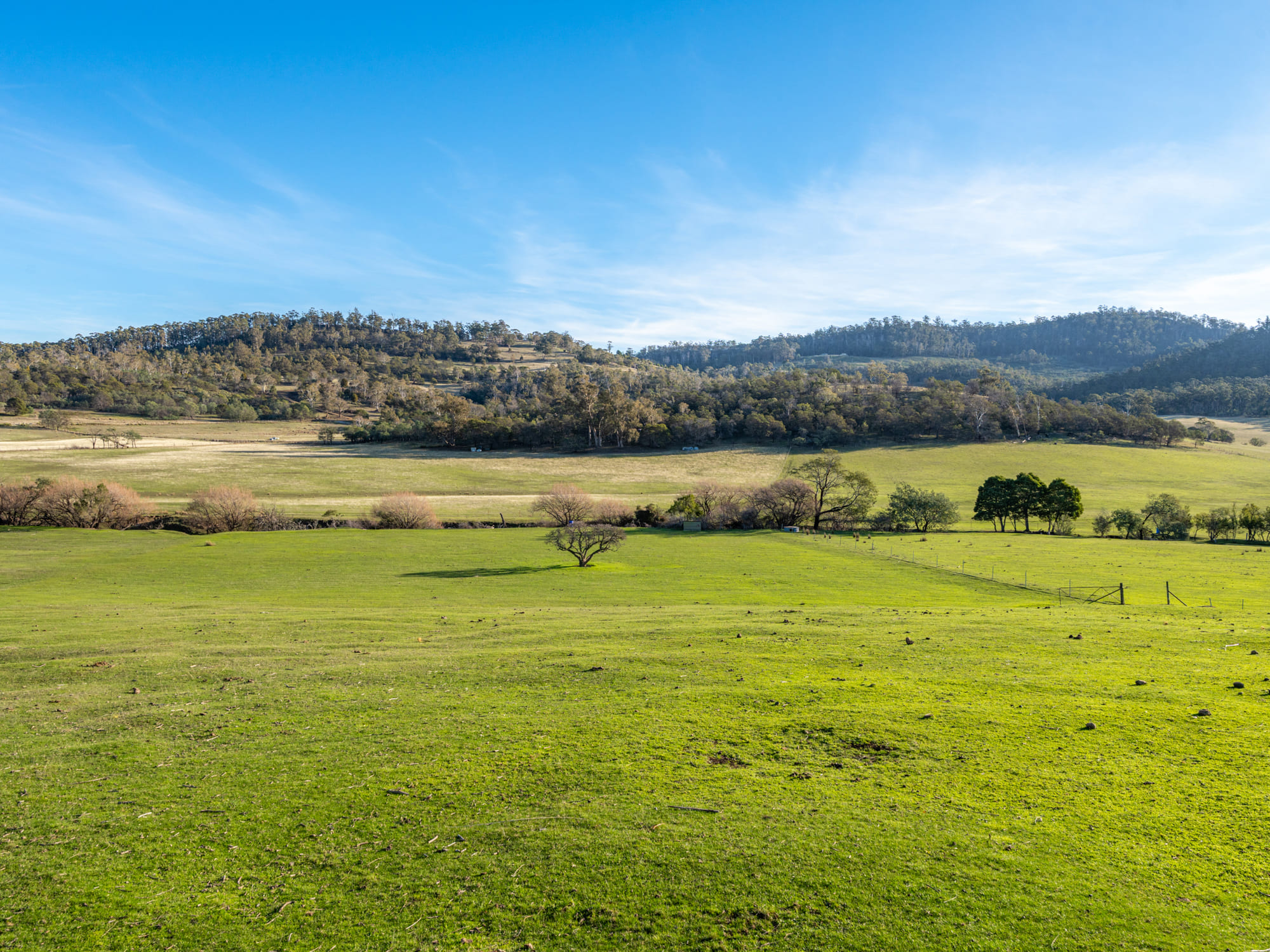 199 Williams Road, Tea Tree, TAS, 7017 - Image 14