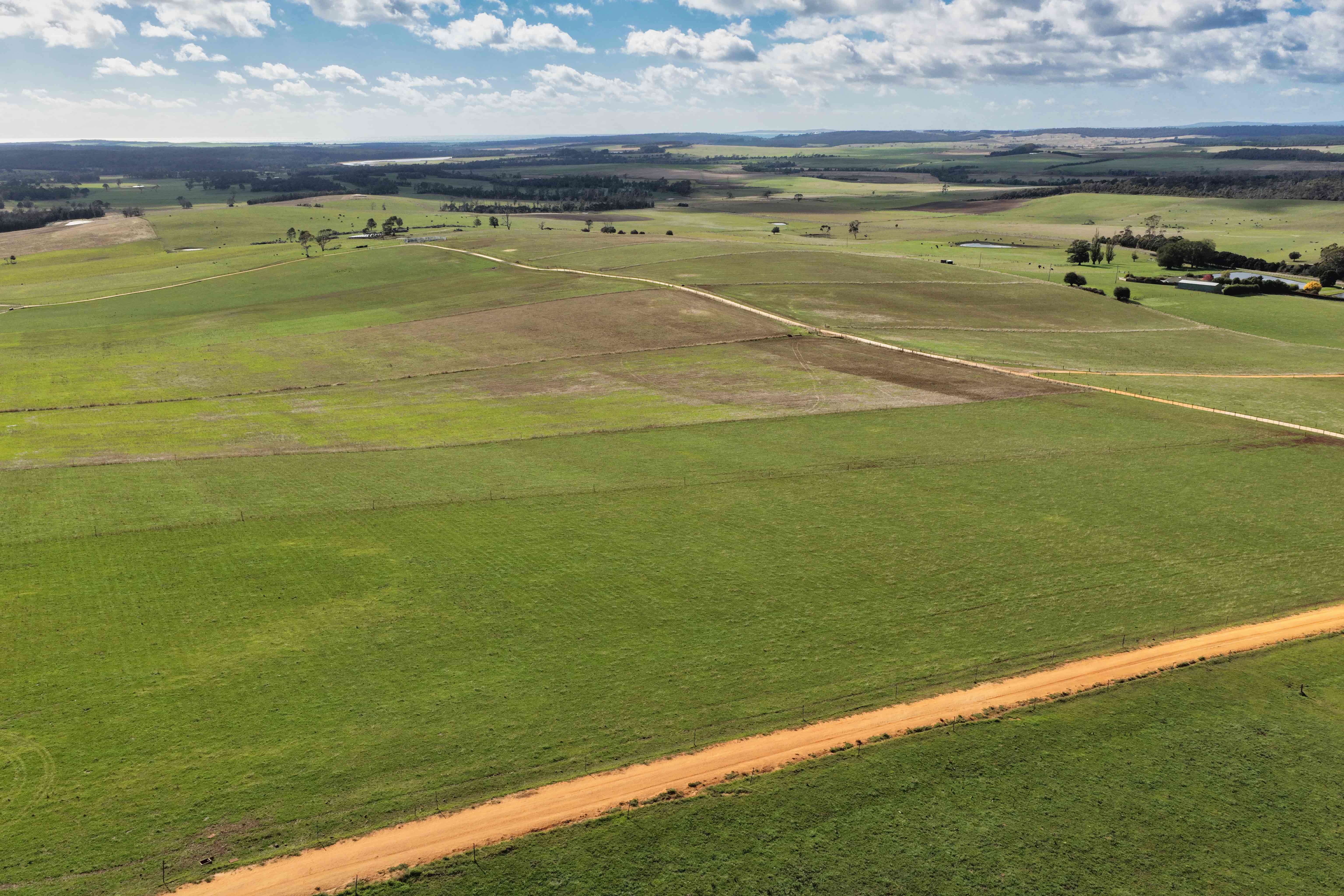 985 Ferny Hill Road, Bridport, TAS, 7262 - Image 6