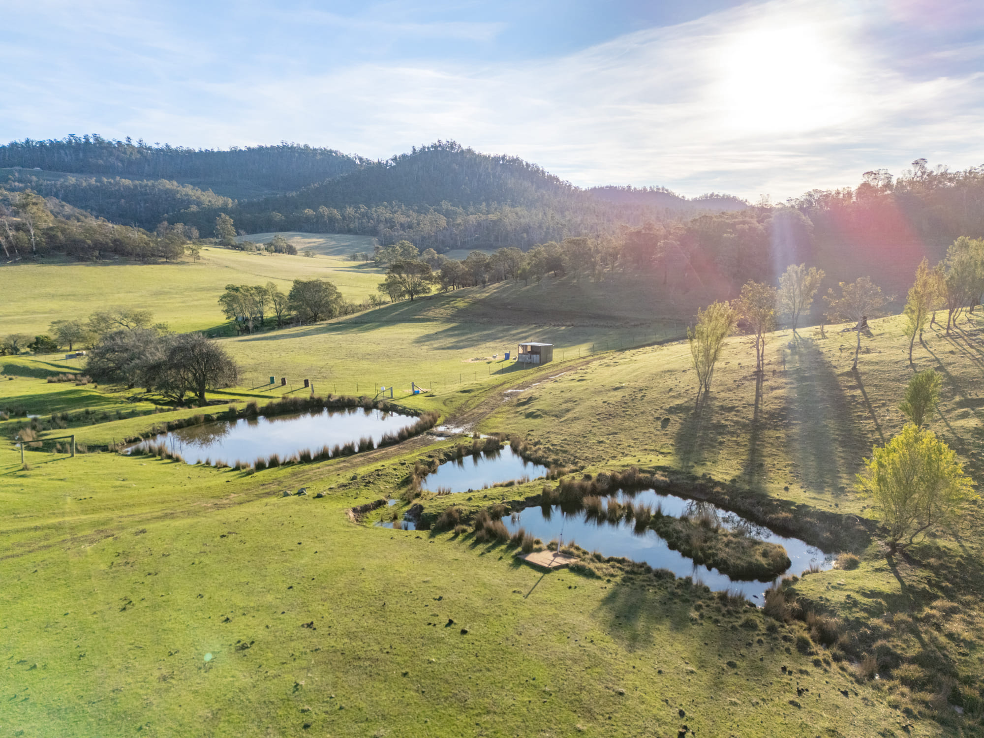 199 Williams Road, Tea Tree, TAS, 7017 - Image 15