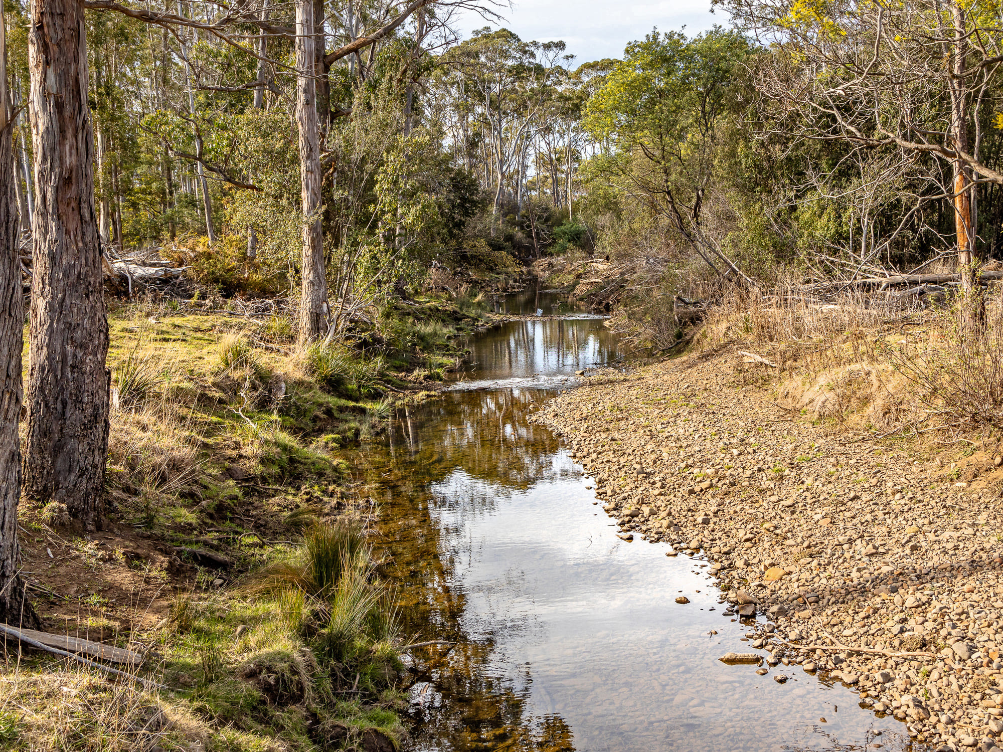 1019 Rheban Road, Orford, TAS, 7190 - Image 7