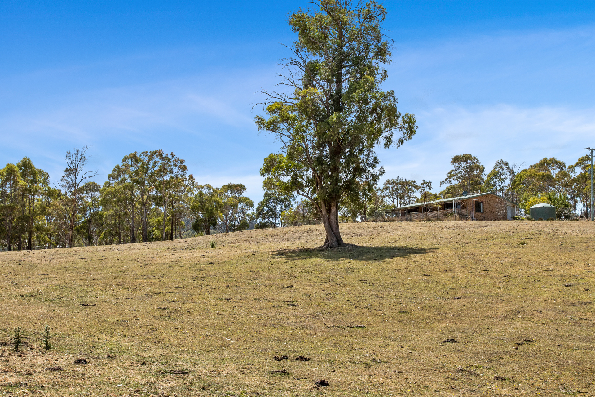 1461 Nugent Road, Nugent, TAS, 7172 - Image 22