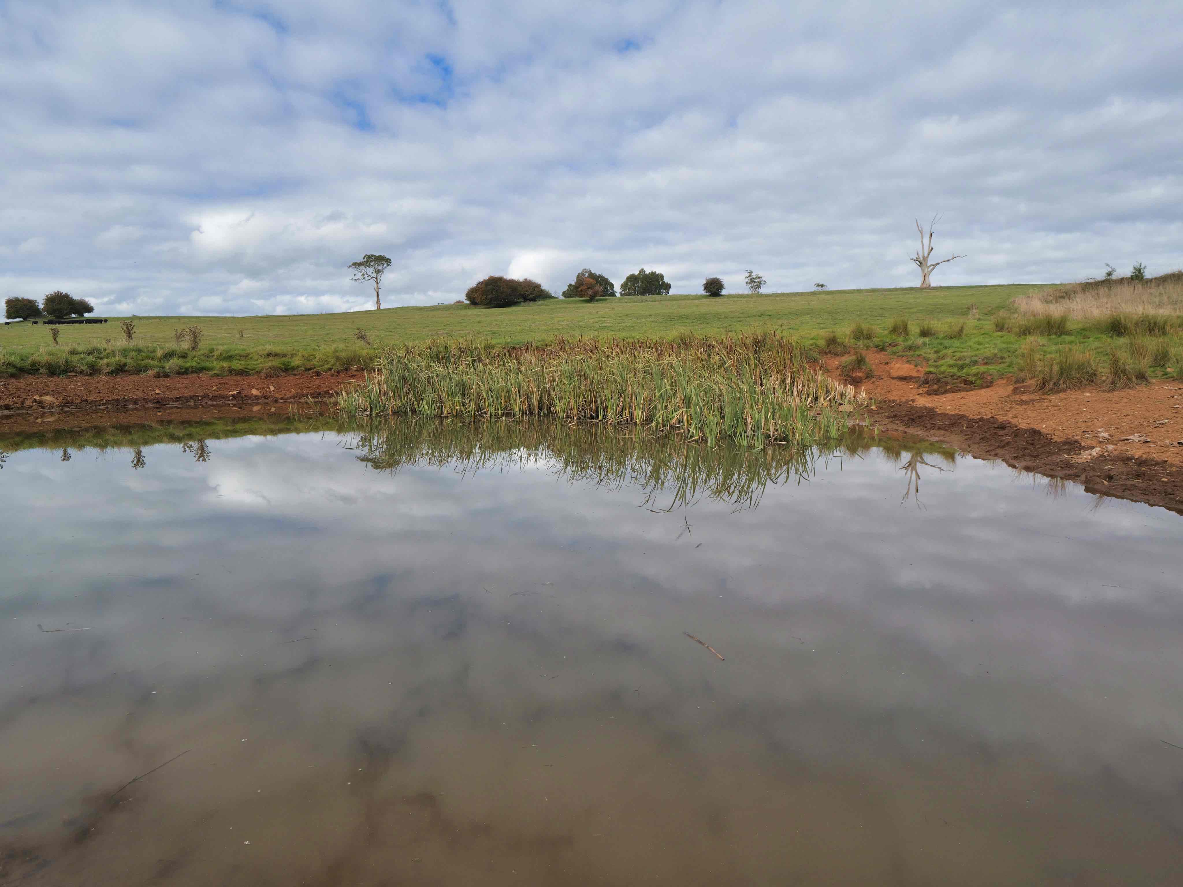 17 Lemana Road, Red Hills, TAS, 7304 - Image 8