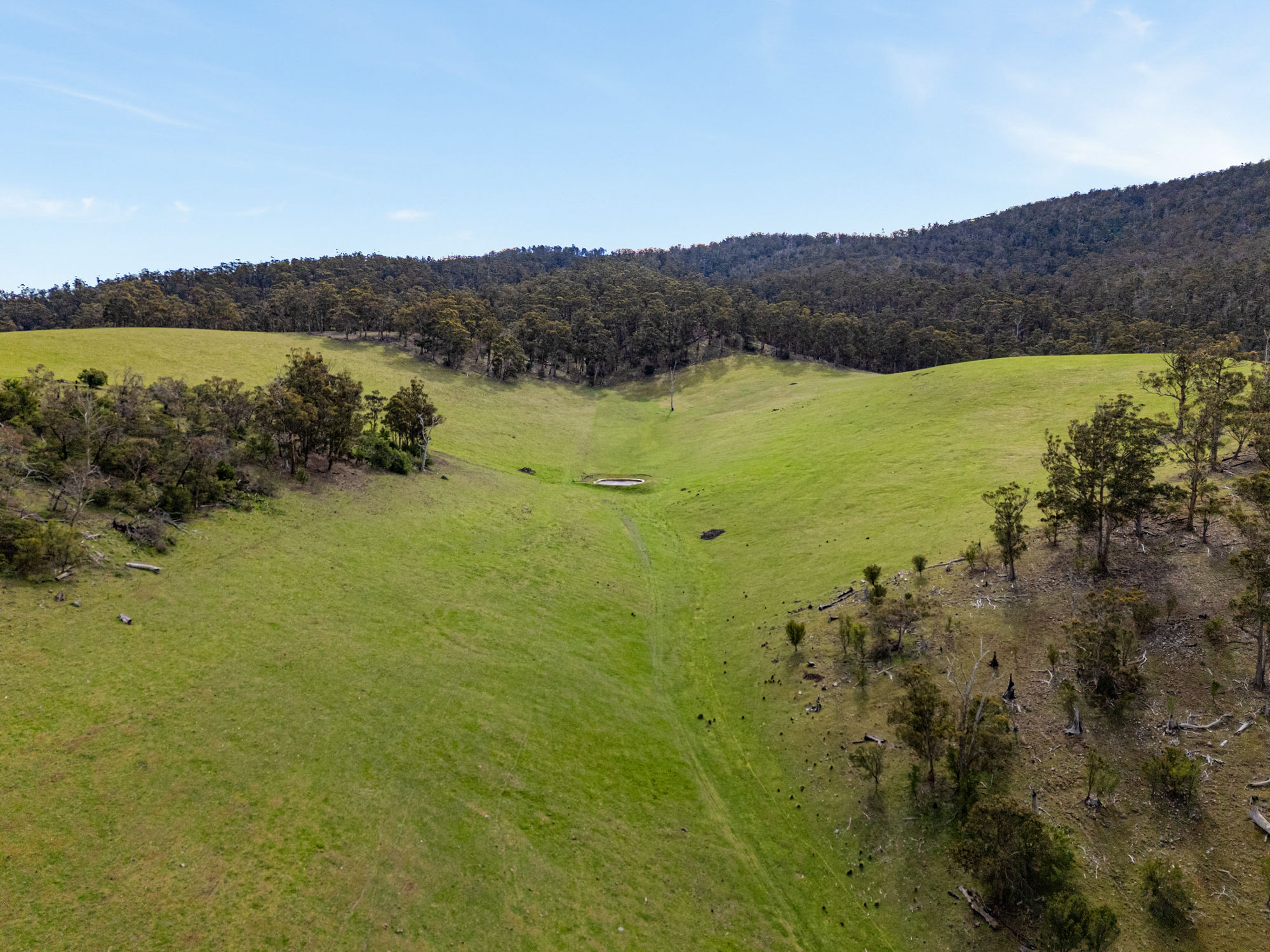 669 Black Brush Road, Broadmarsh, TAS, 7030 - Image 9