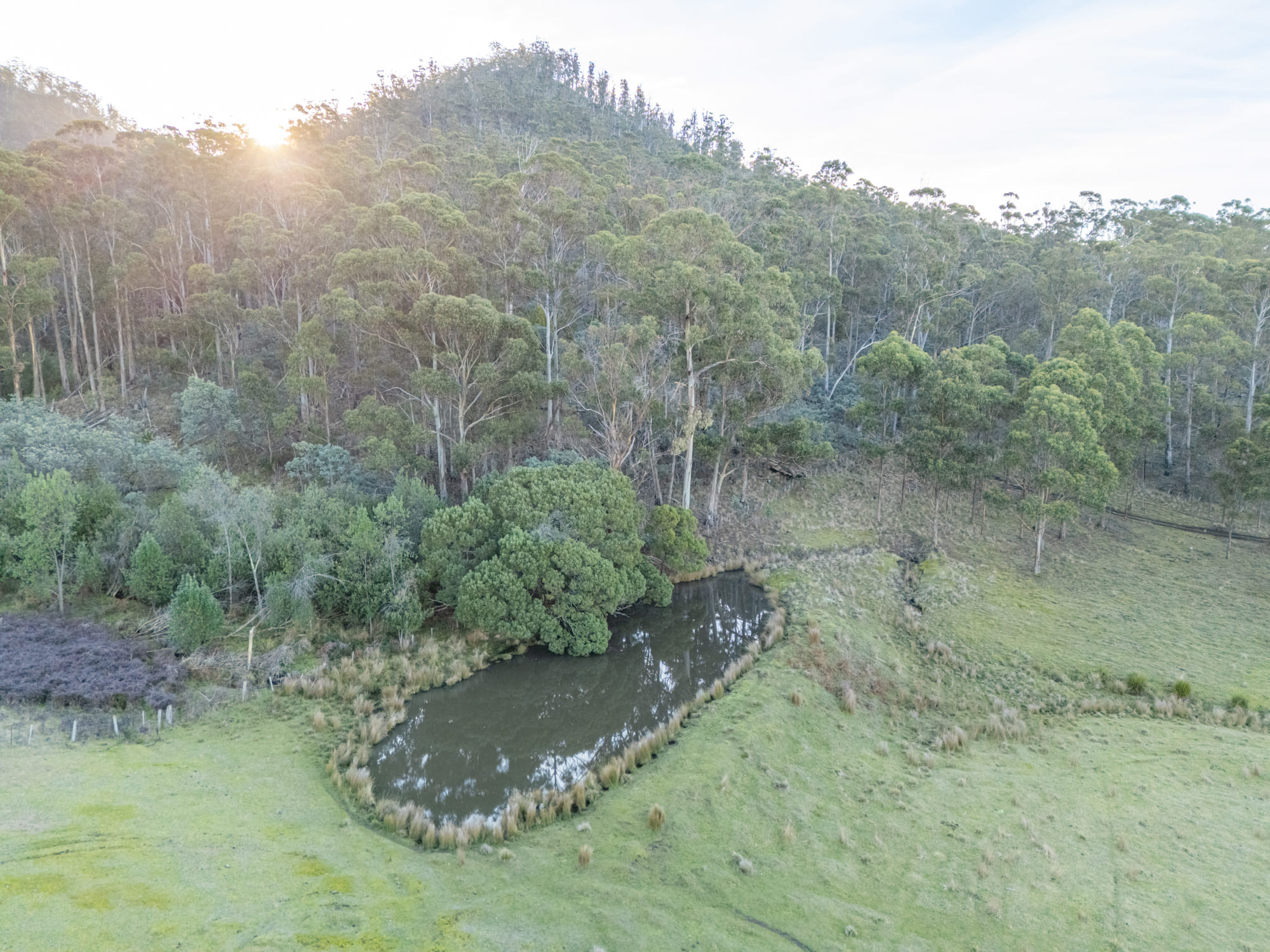 199 Williams Road, Tea Tree, TAS, 7017 - Image 17