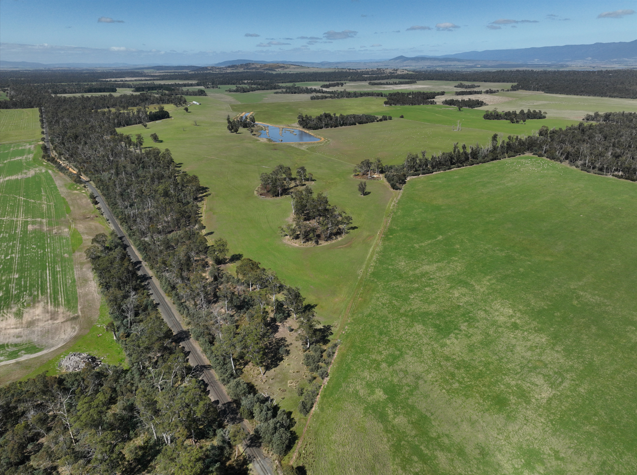 1 Barton Road, Epping Forest, TAS, 7211