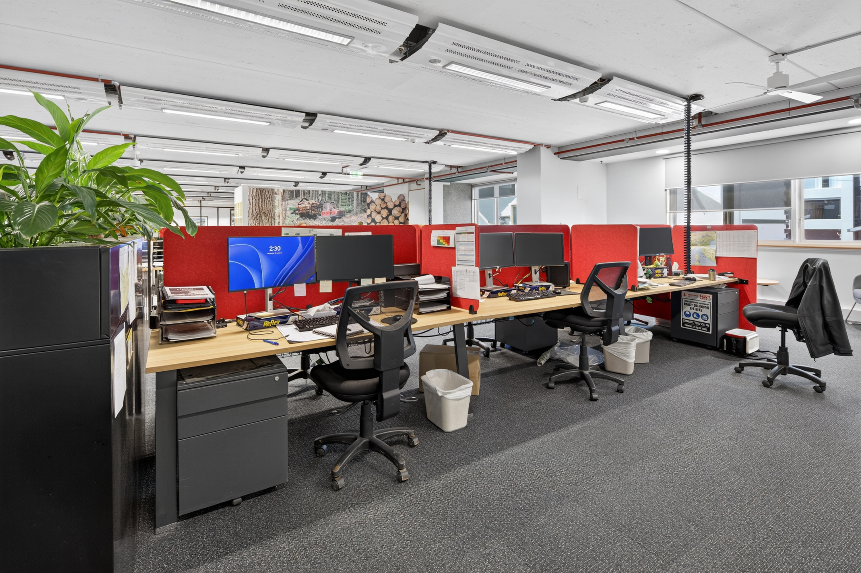 113-115 Cimitiere Street & 34 George Street, Launceston, TAS, 7250 - Image 15