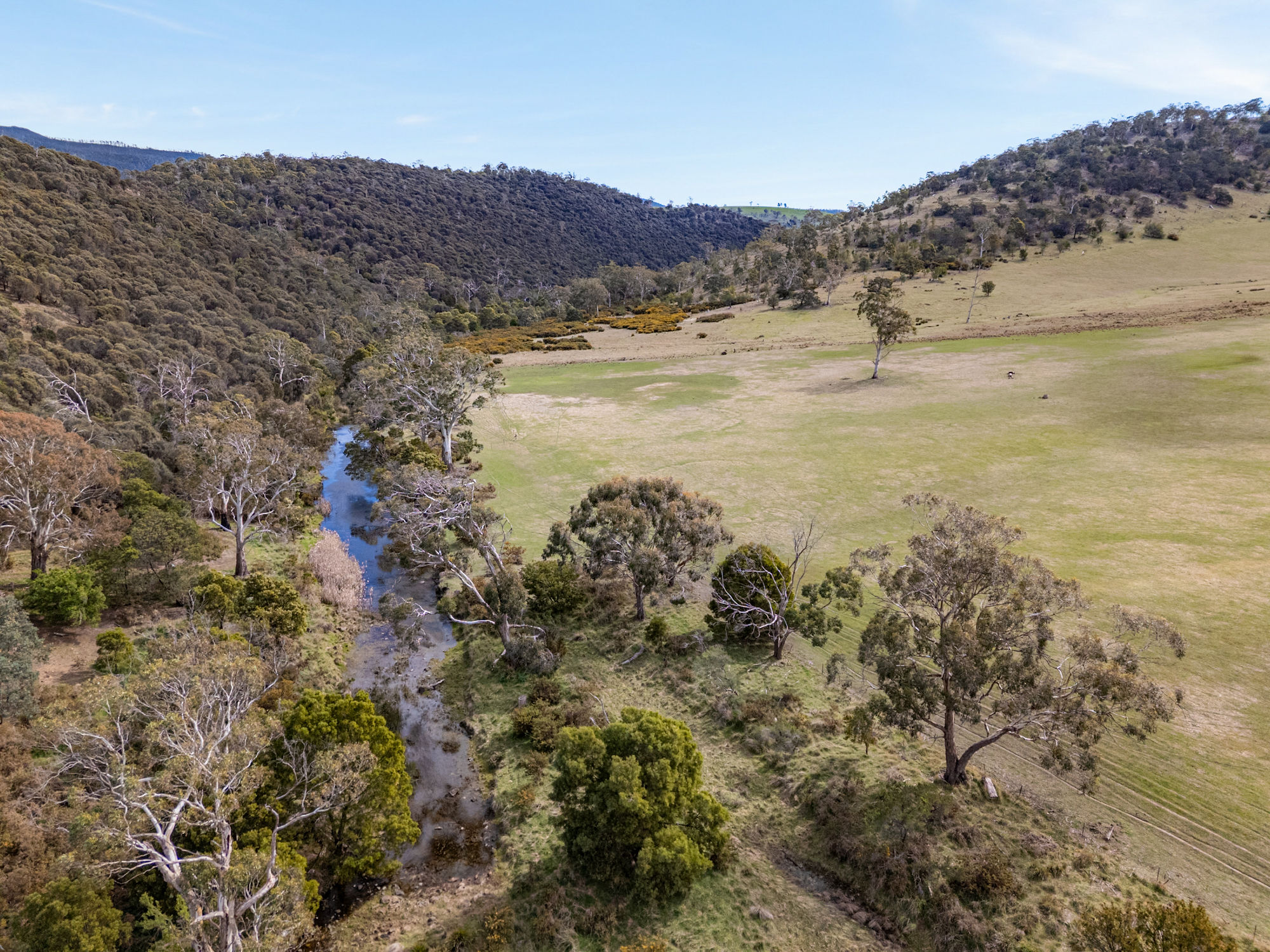 669 Black Brush Road, Broadmarsh, TAS, 7030 - Image 12